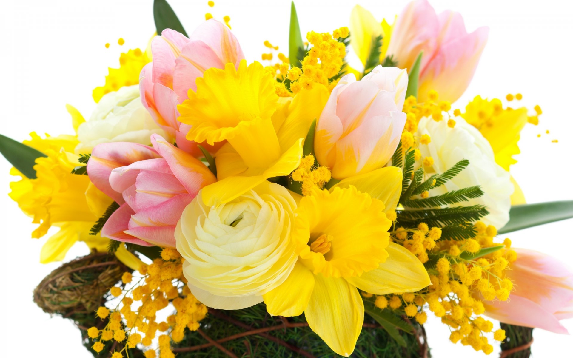 tulips flowers bright pink narcissus yellow mimosa bouquet petals flower daffodils leaves beauty