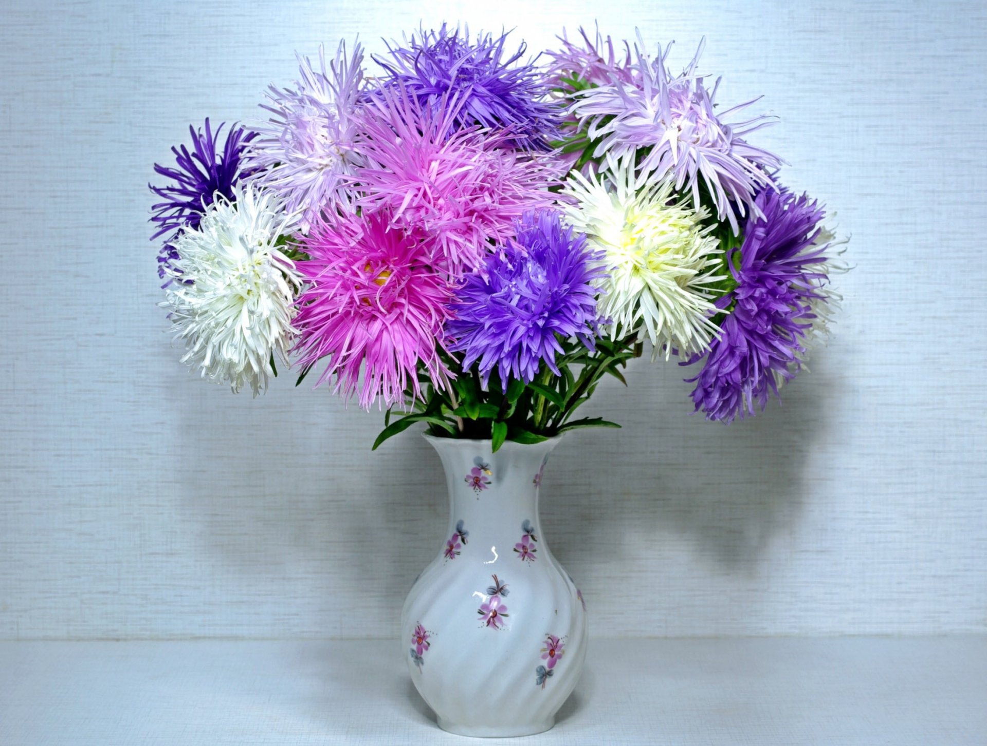 asters flower vase background