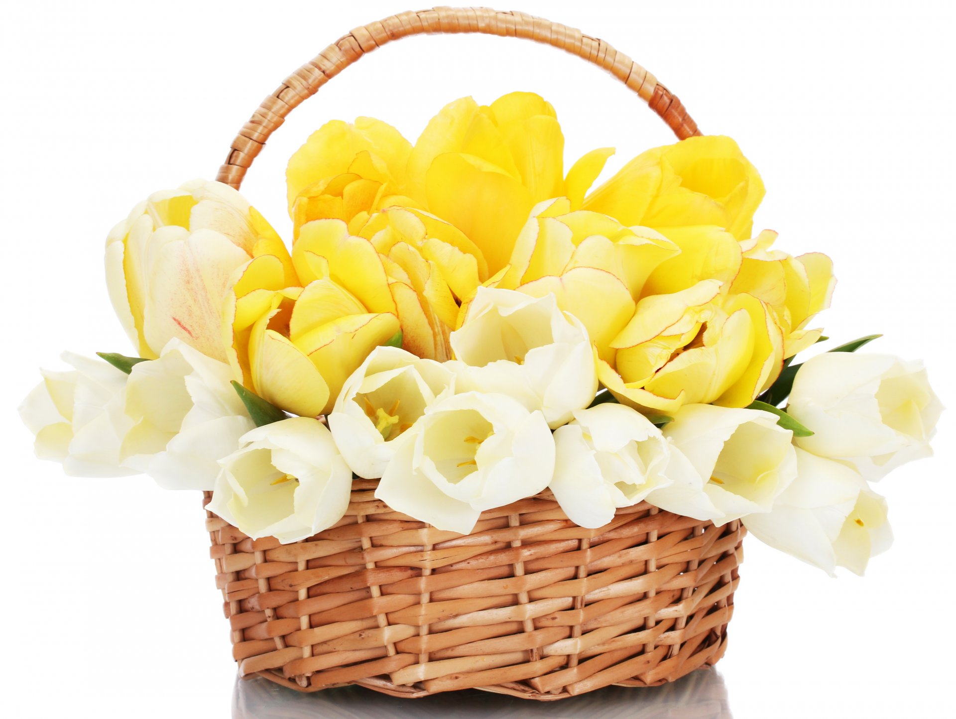 tulips beautiful bouquet flower shopping basket tulip nature spring