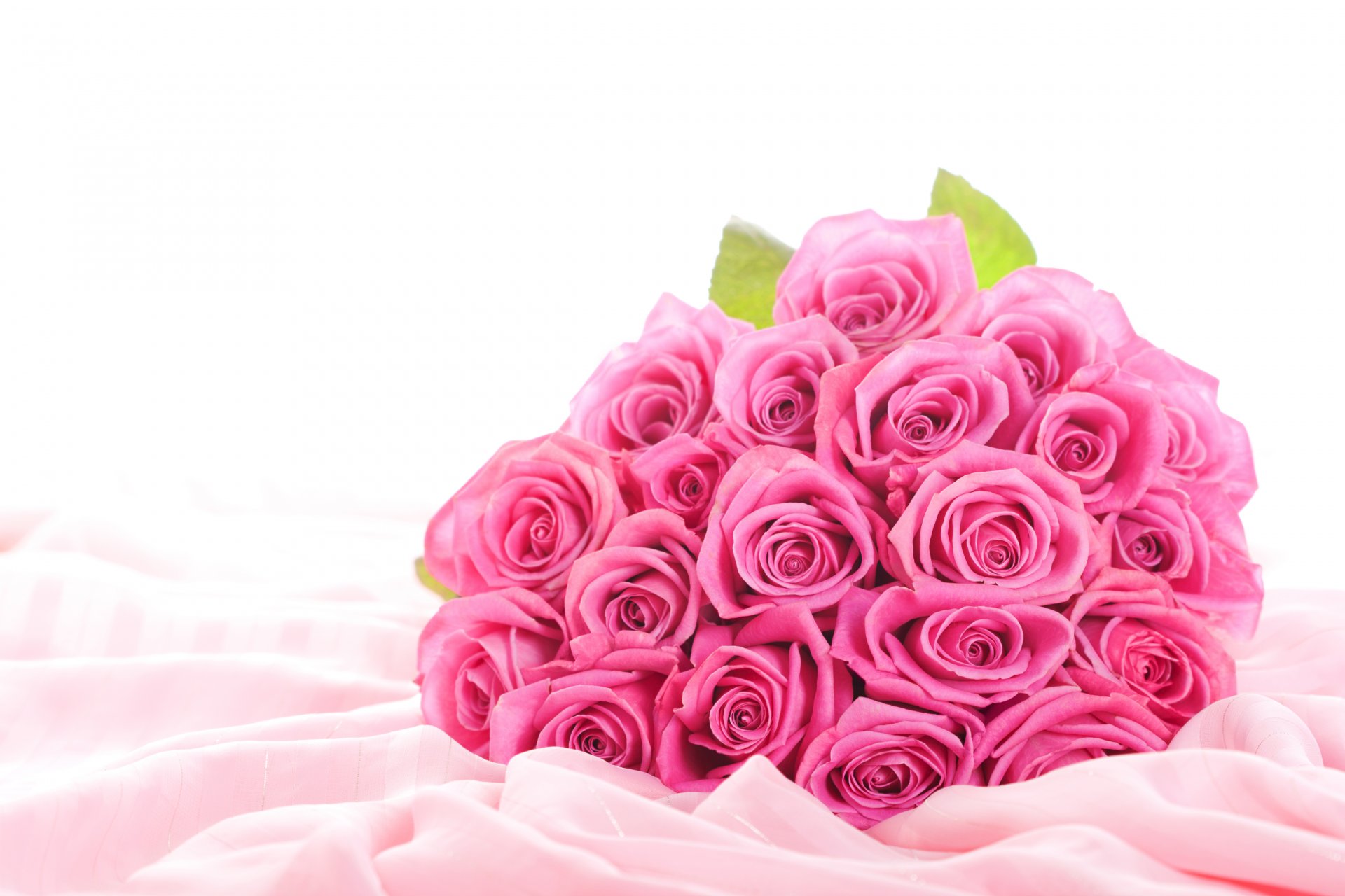 flower roses pink flowers pink roses bouquet chic buds sheets silk cloth wallpapers desktop wallpaper best wallpapers widescreen widescreen wallpapers download of