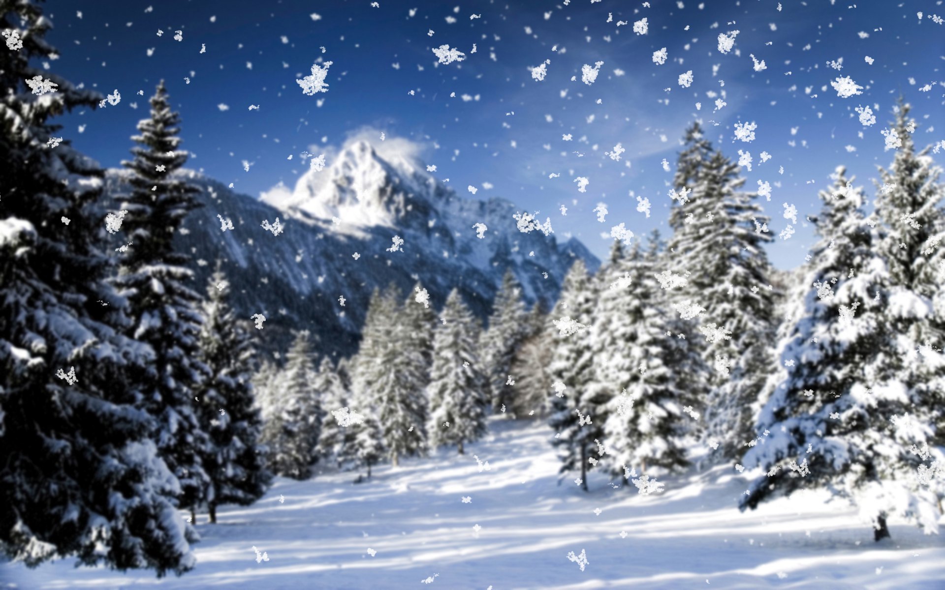 nature snowflakes close up snow blizzard winter winter wallpaper cool frost tree mountain spruce christmas tree focus widescreen winter wallpapers snowy wallpapers snowfall new year wallpapers ch
