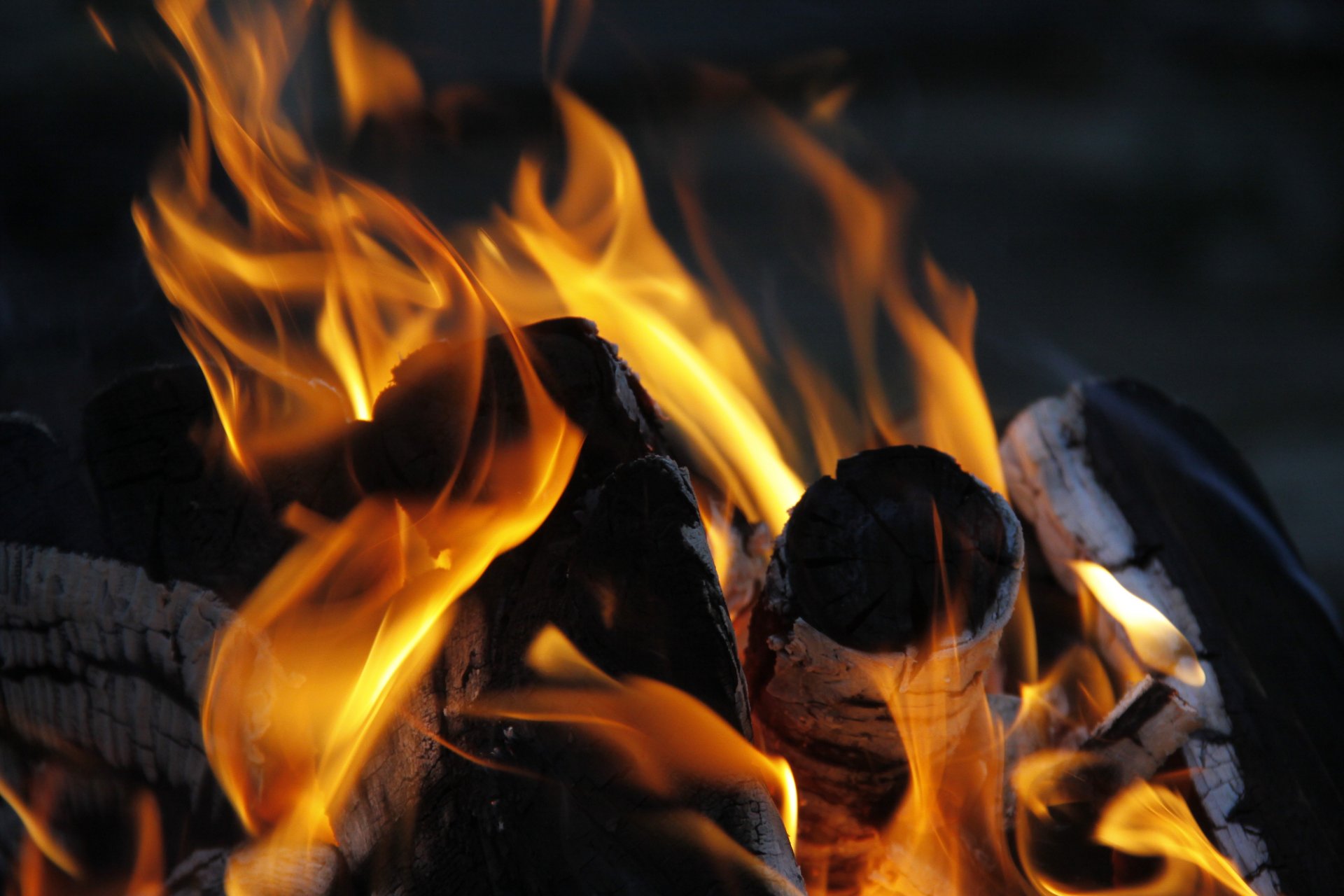 background wallpaper close up fire flame flames firewood coal