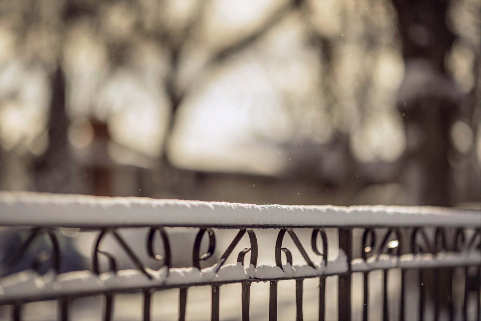 fence bars snow winter nature close up blur