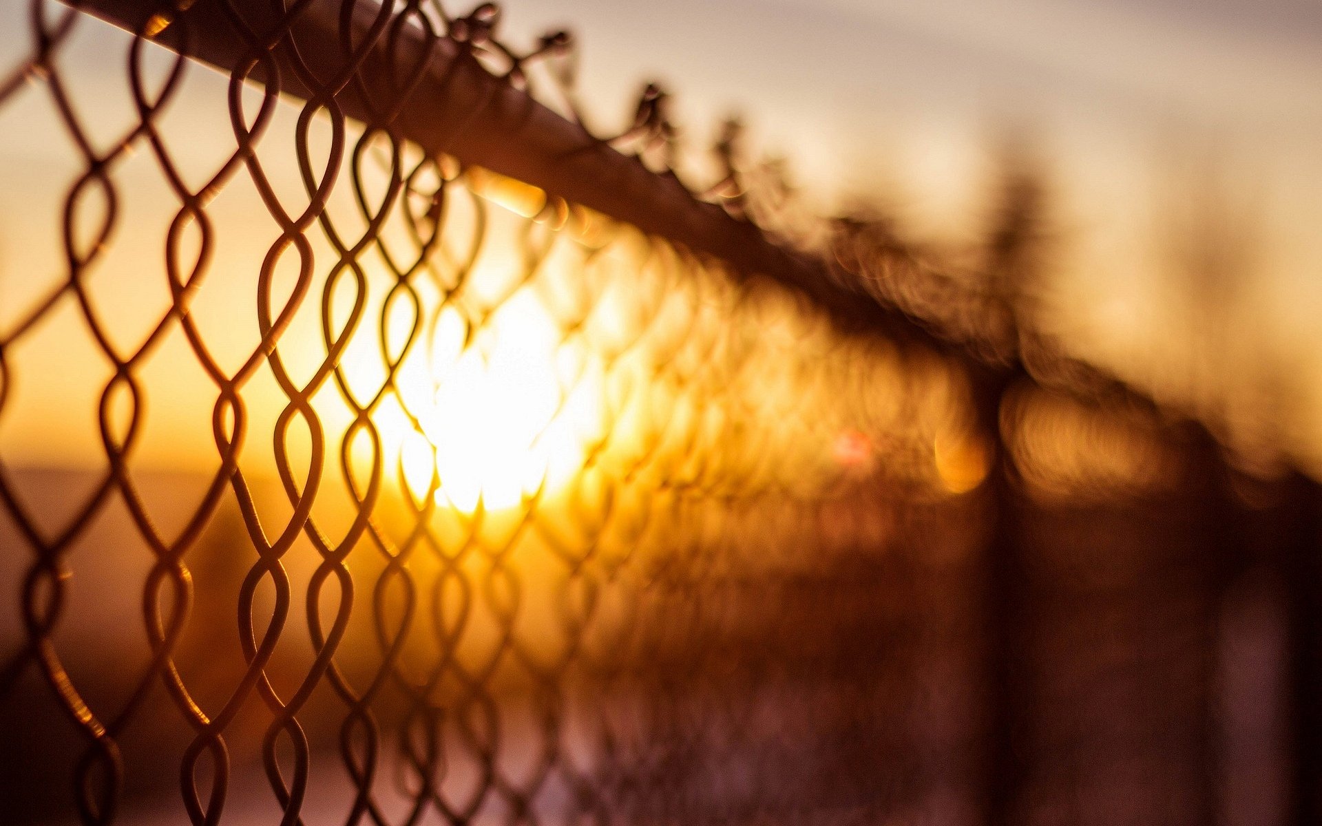 close up net fence fencing sun blur bokeh day background wallpaper widescreen full screen hd wallpapers fullscreen