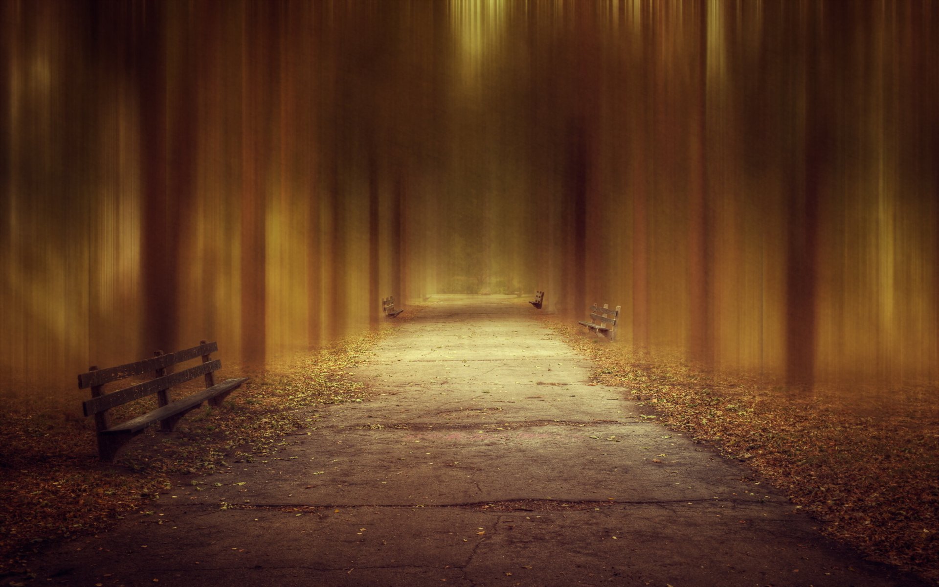 chicago lincoln park zoo abstract blur fall leaves trees