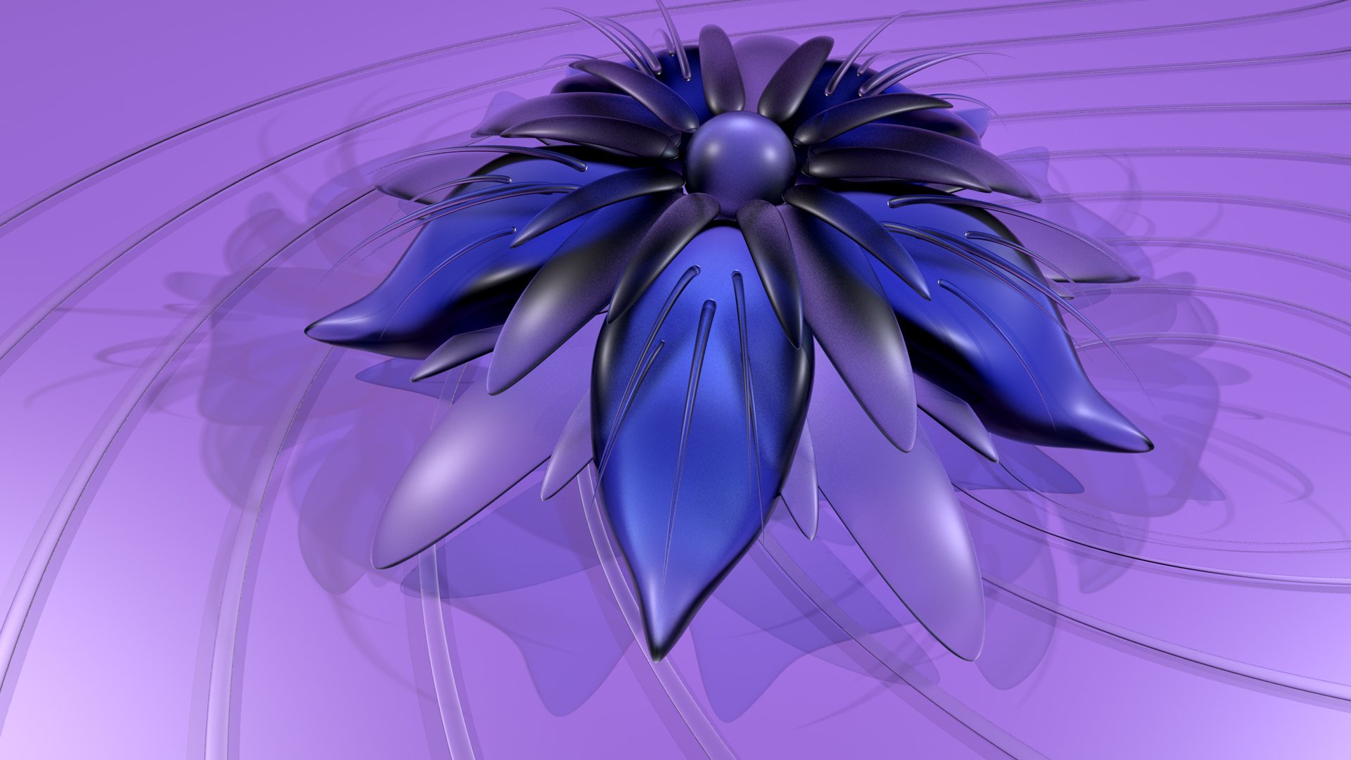 flower petals shadow of the strip