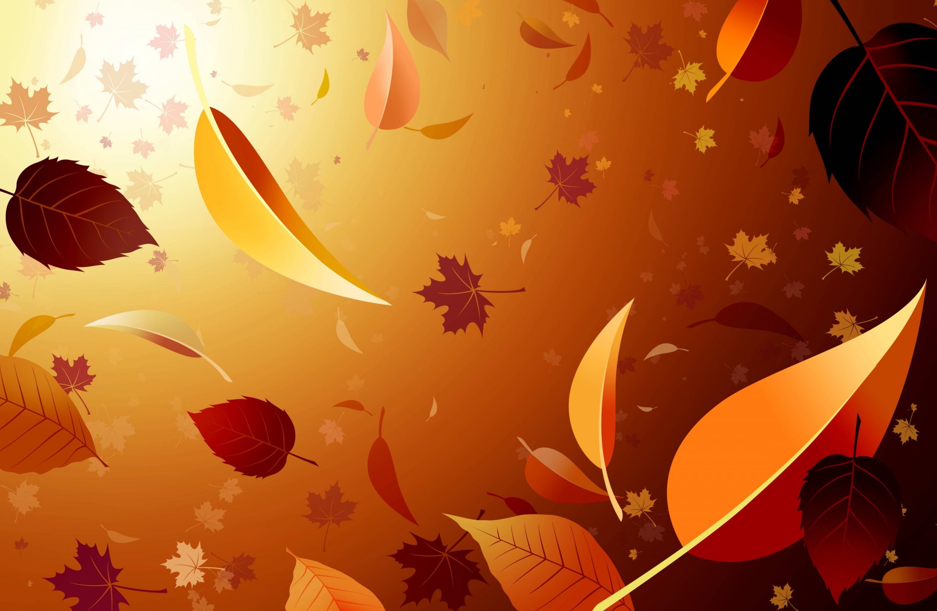 leaves autumn wallpaper maple light leaf