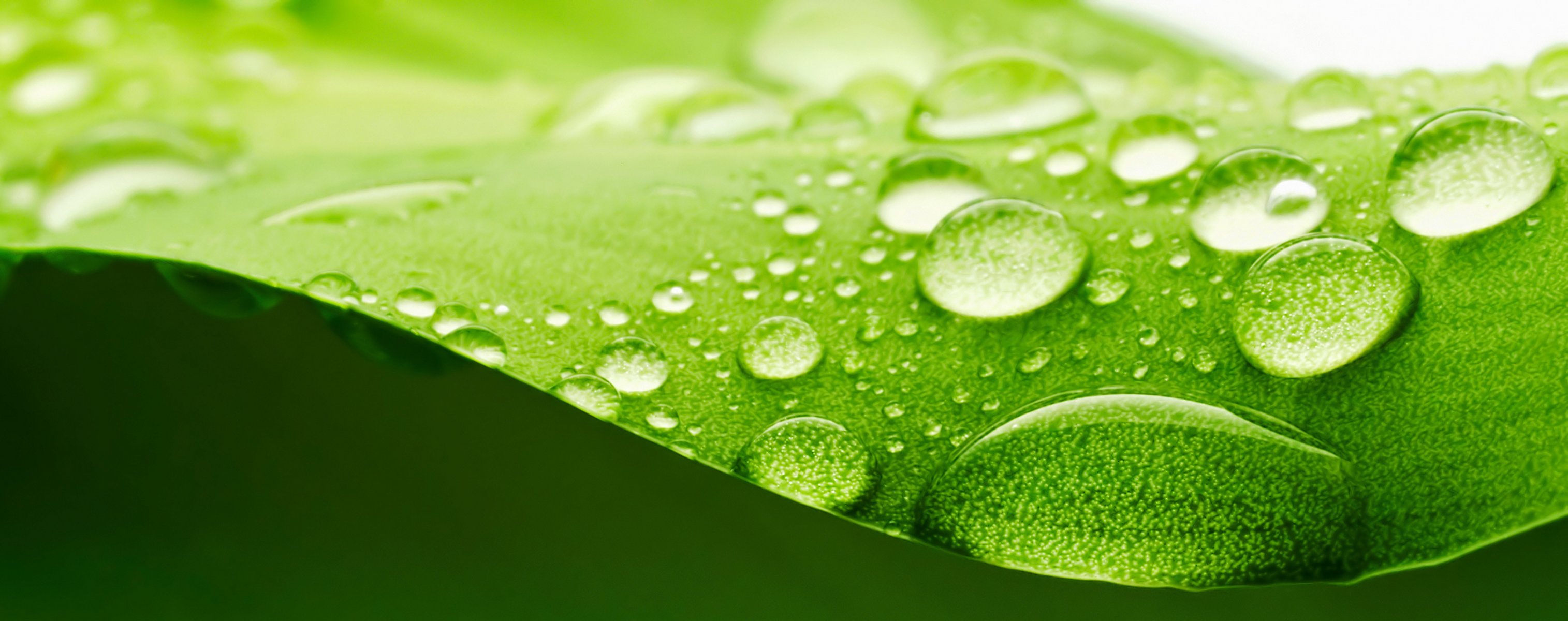 green piece droplets water surface refraction light blur bokeh widescreen full screen hd wallpapers.