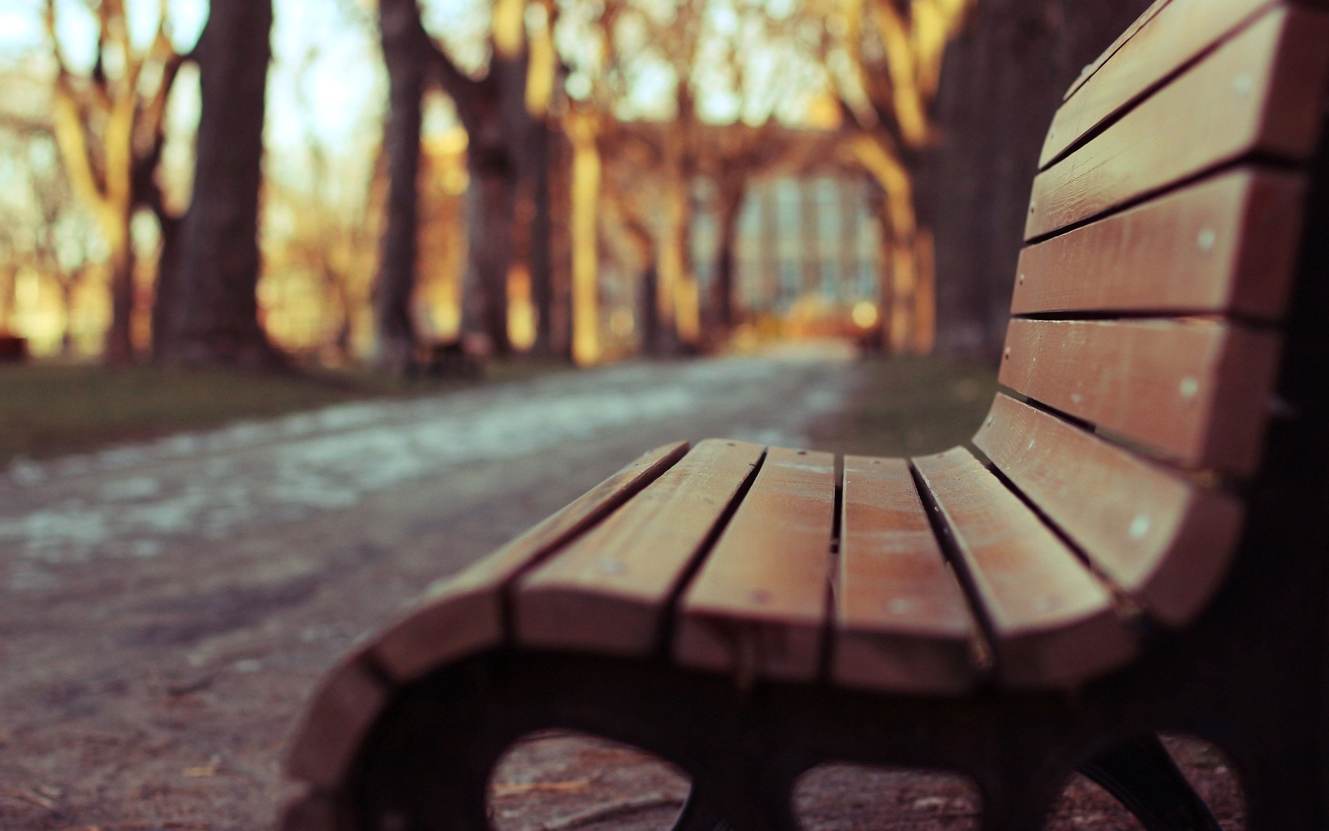close up bench shop blur park square tree background macro wallpaper widescreen full screen hd wallpapers