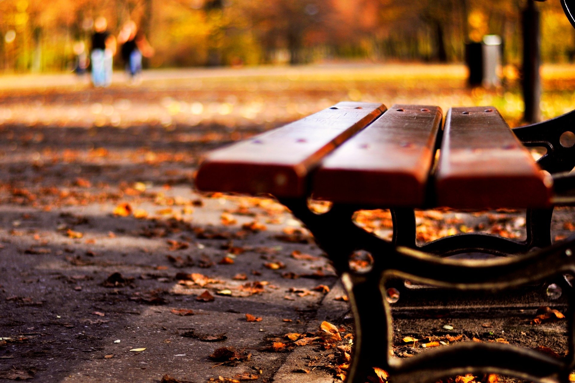 close up mood bench shop leaves leaf autumn yellow leaves nature macro background wallpaper widescreen full screen hd wallpapers fullscreen