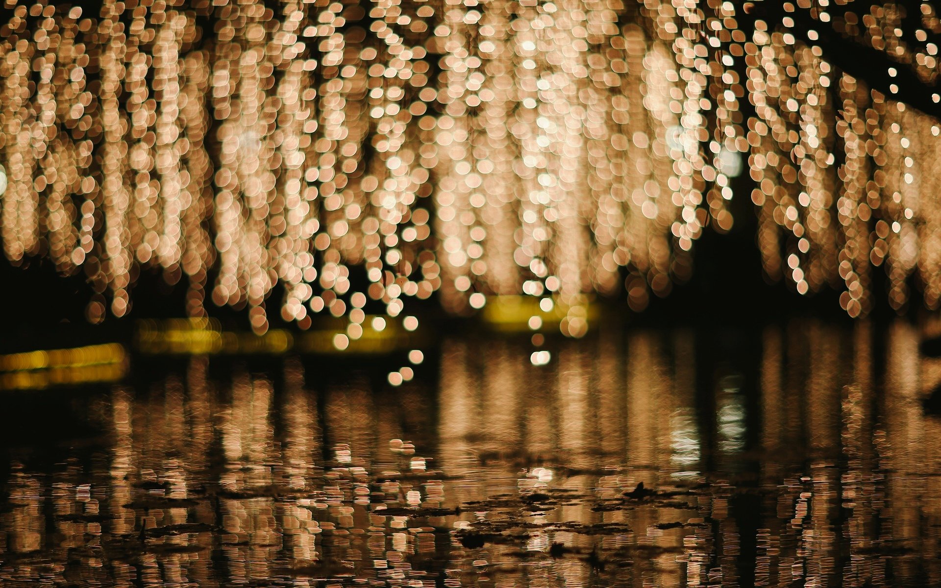 close up lights blur bokeh water a pool rain man background macro wallpaper widescreen full screen hd wallpapers