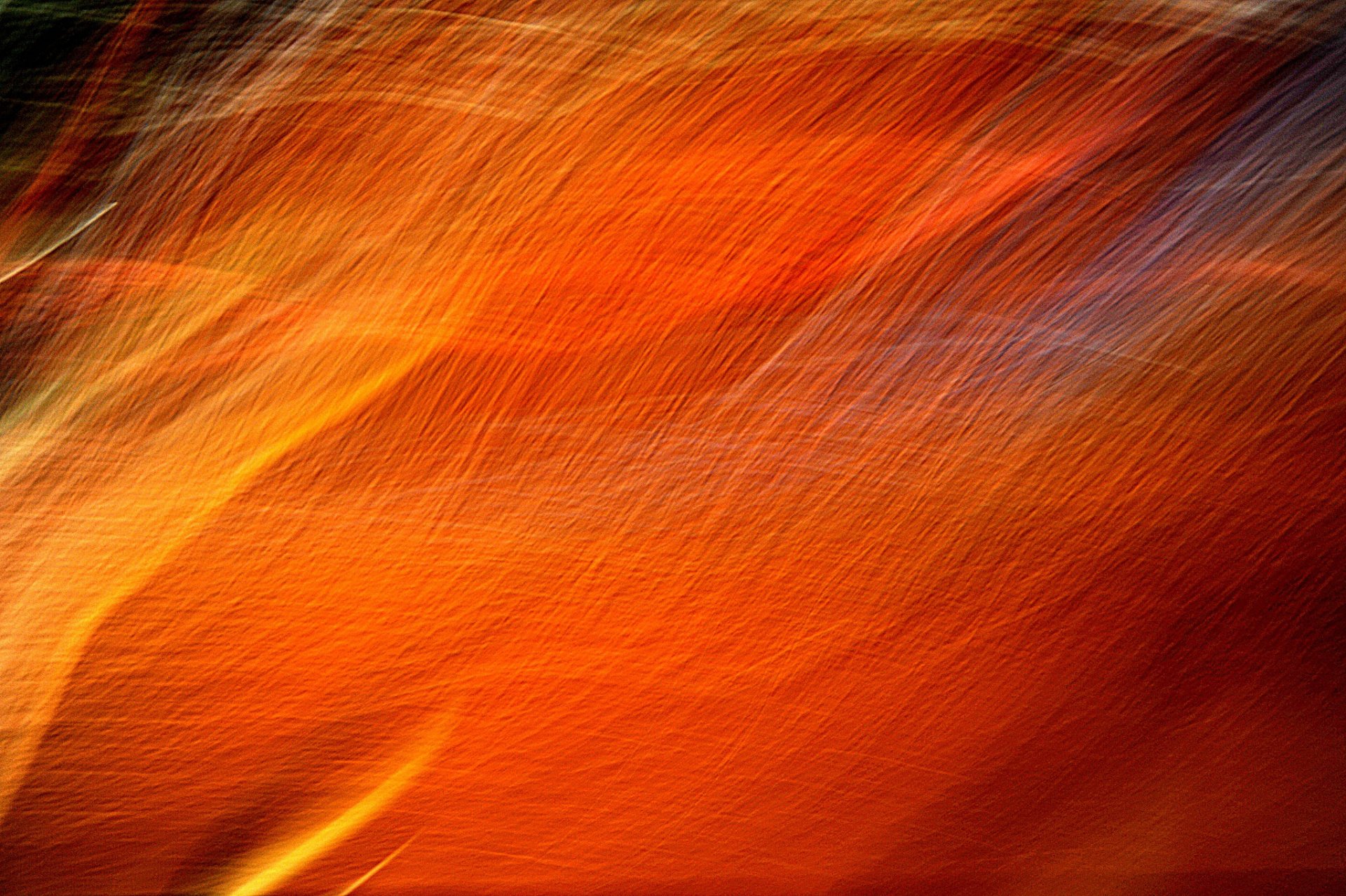 line rays light flowers tracks