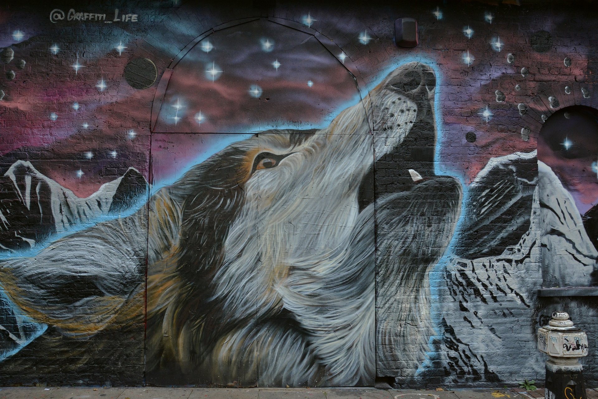 graffiti wall wolf face star background