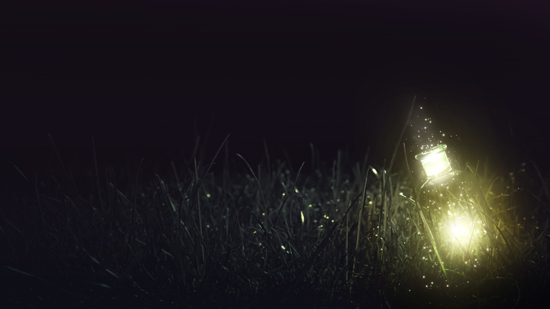 night grass light lights bottle glass a bottle
