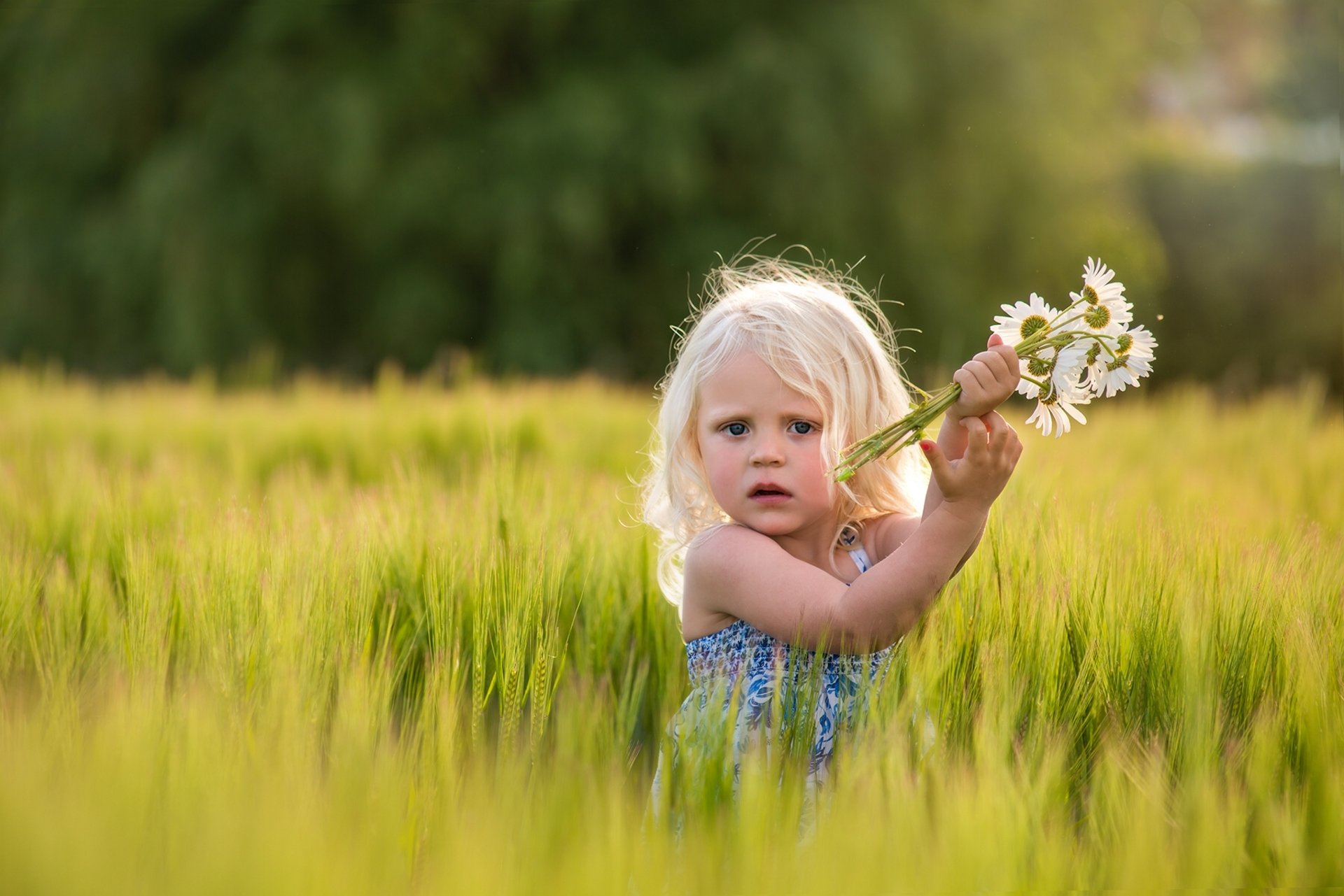 girl the field chamomile flower mood