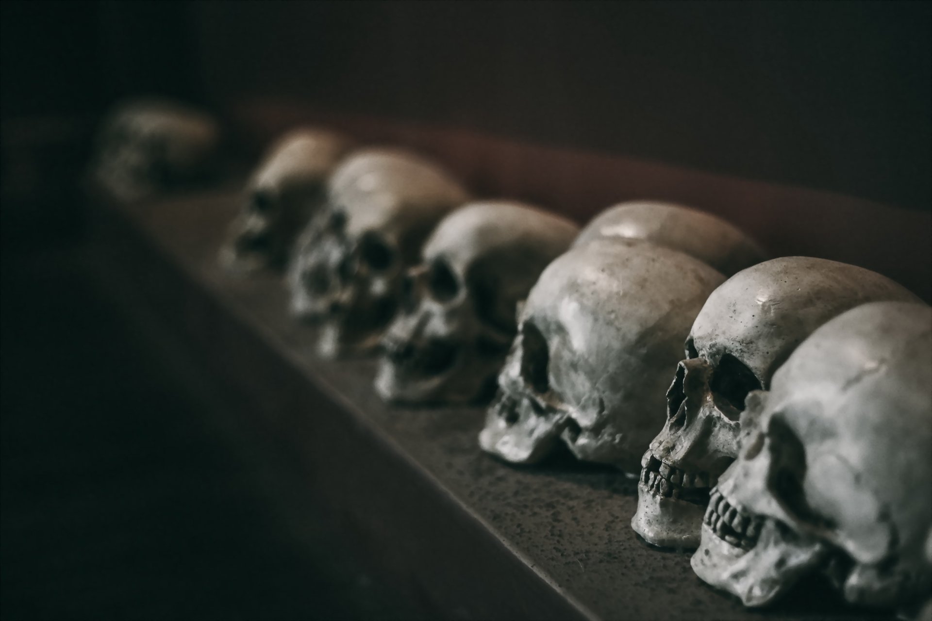 skull darkness background