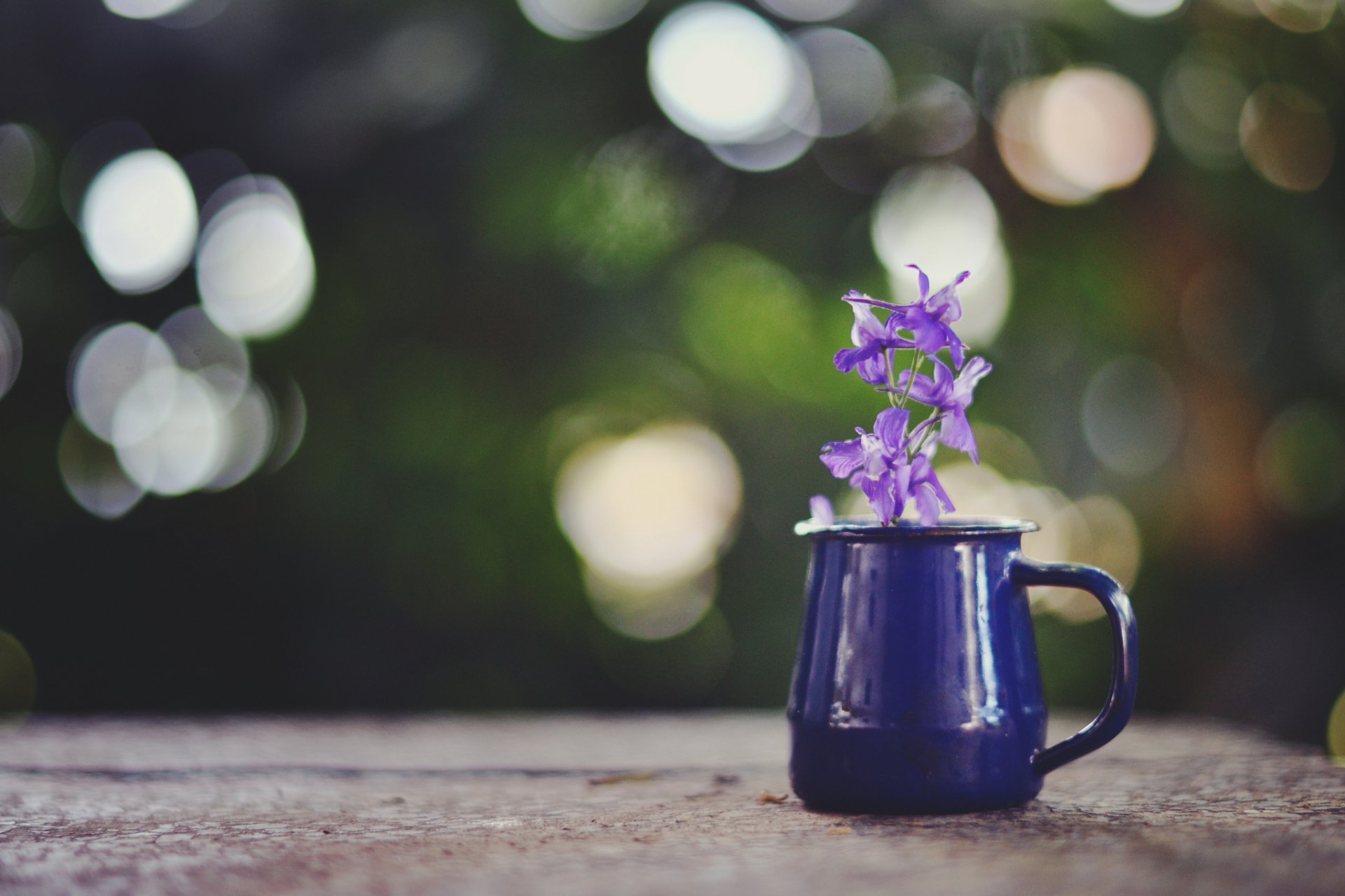 mug flower purple reflections