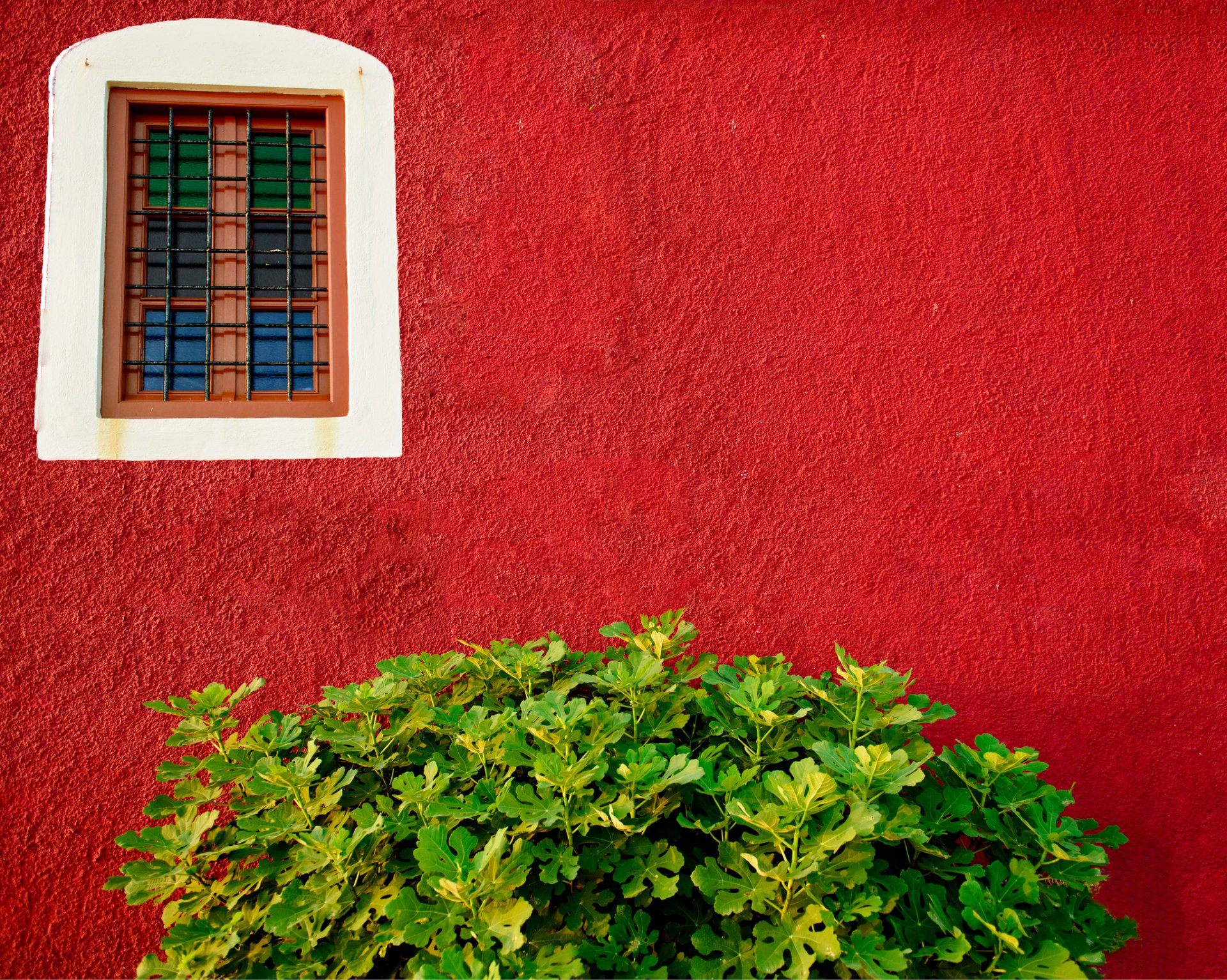 wall red window bush green