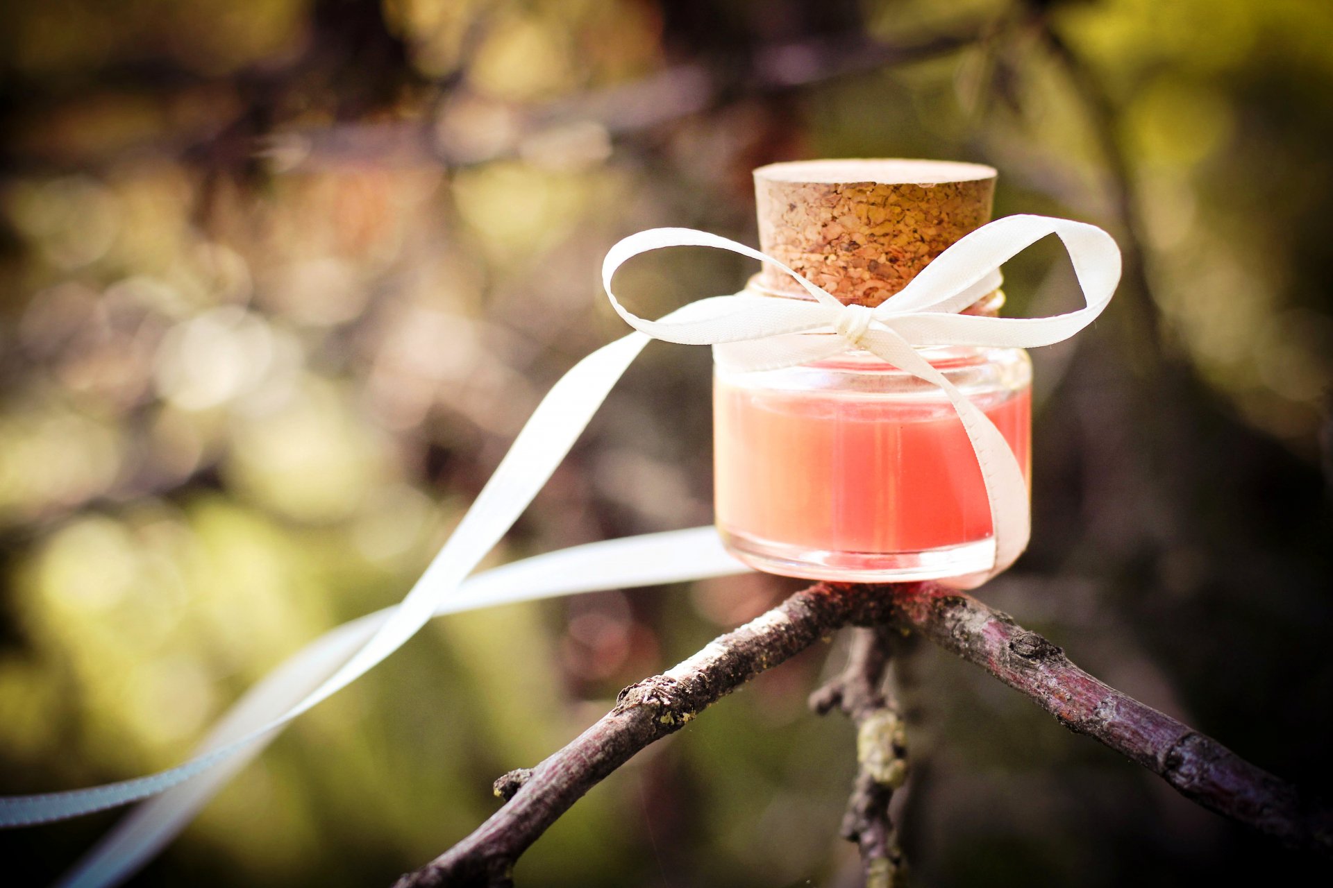 jar plug bow ribbon branch tree nature