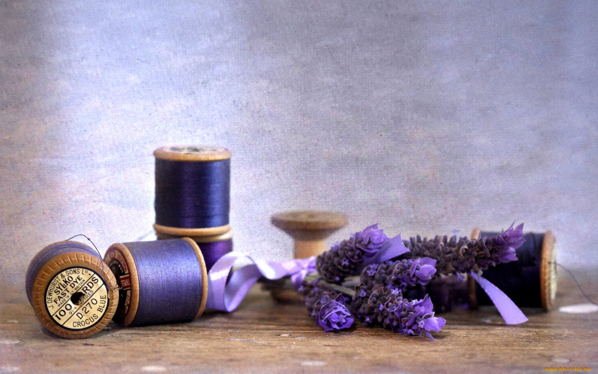thread of the coil lavender belt flower