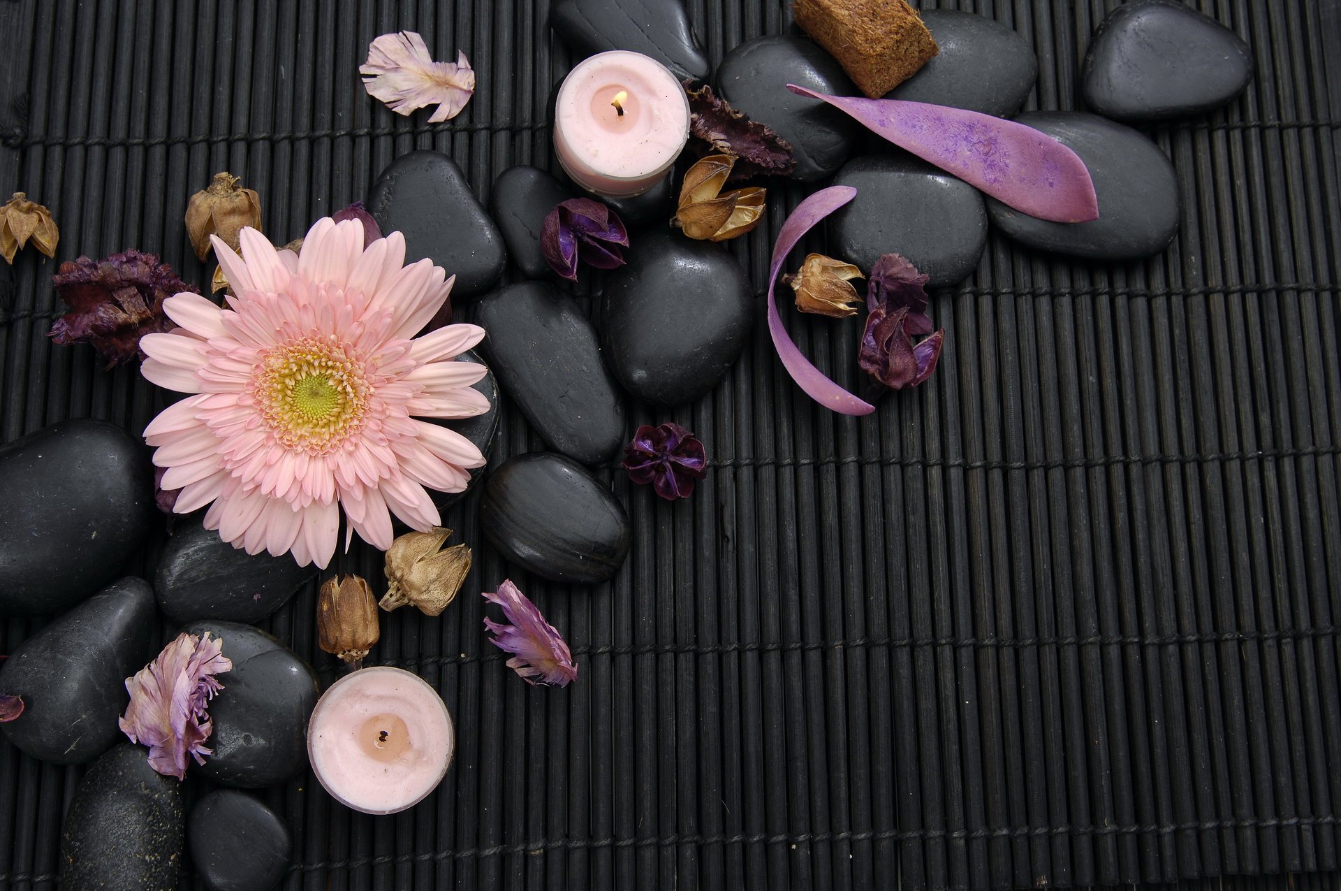 spa spa stones petals flower gerbera