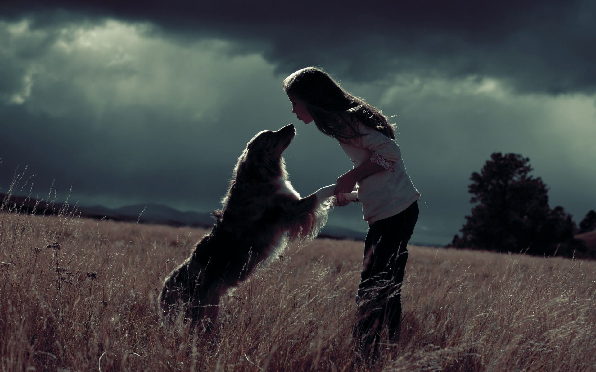 girl dog the field happiness