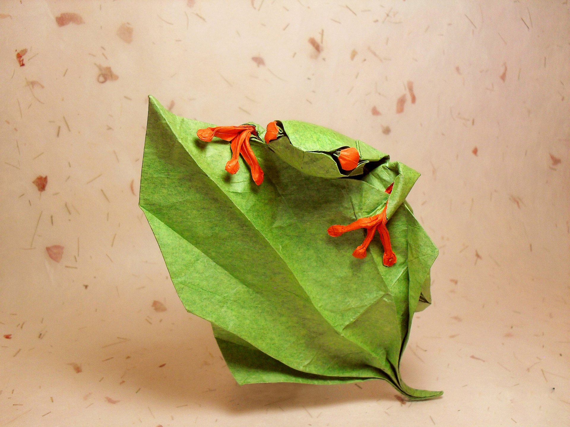 origami frog eyes leaf climb green leaves up