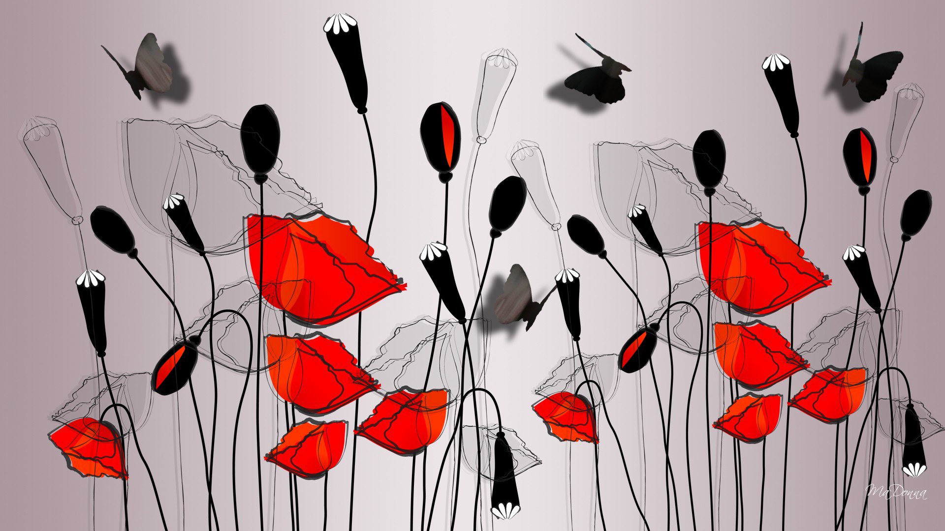 picture flower poppies butterfly vector