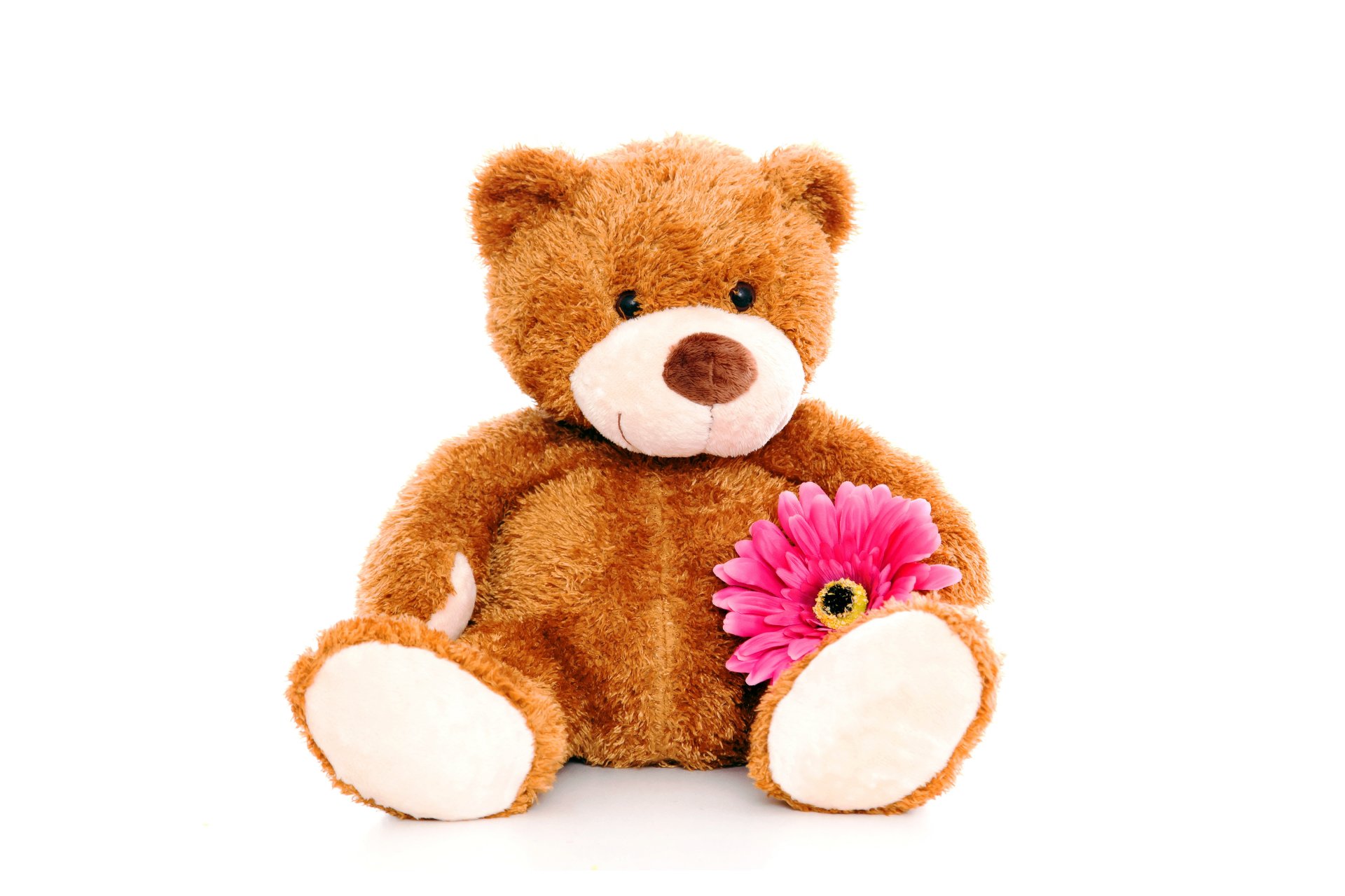 teddy bear toy cute teddy bear toys flower