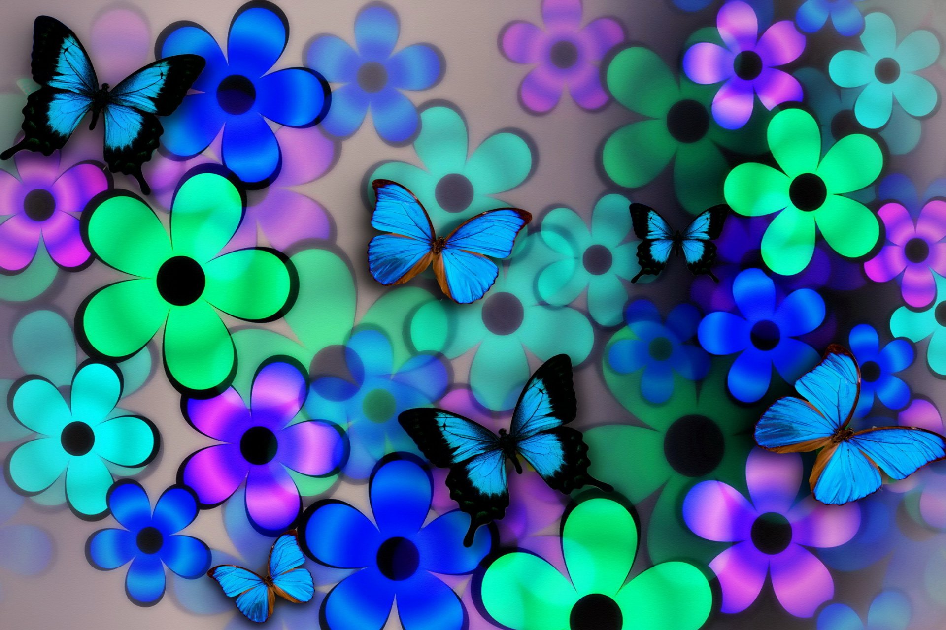flower petals wings butterfly collage