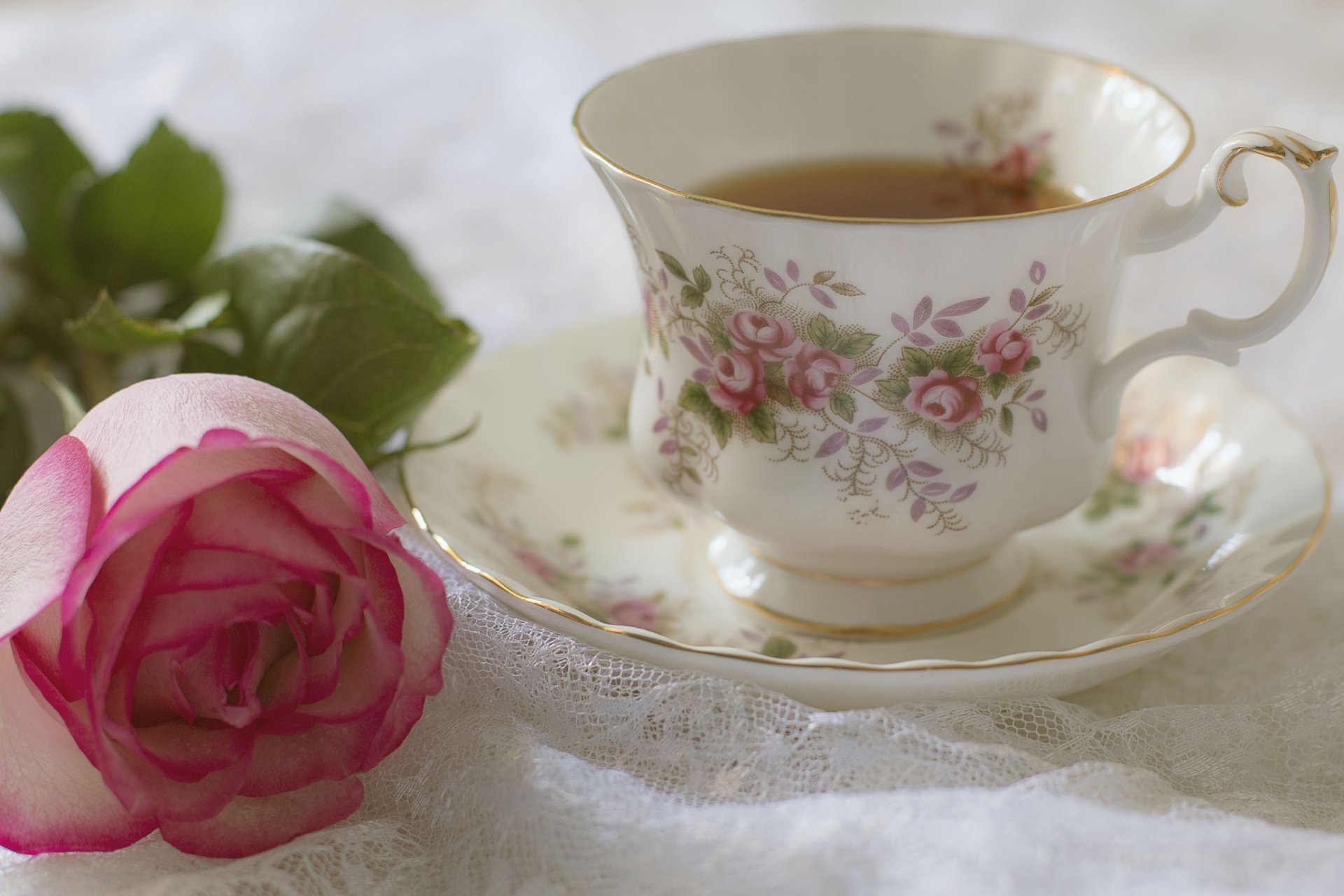still life flower rose petals bud cup tea saucer