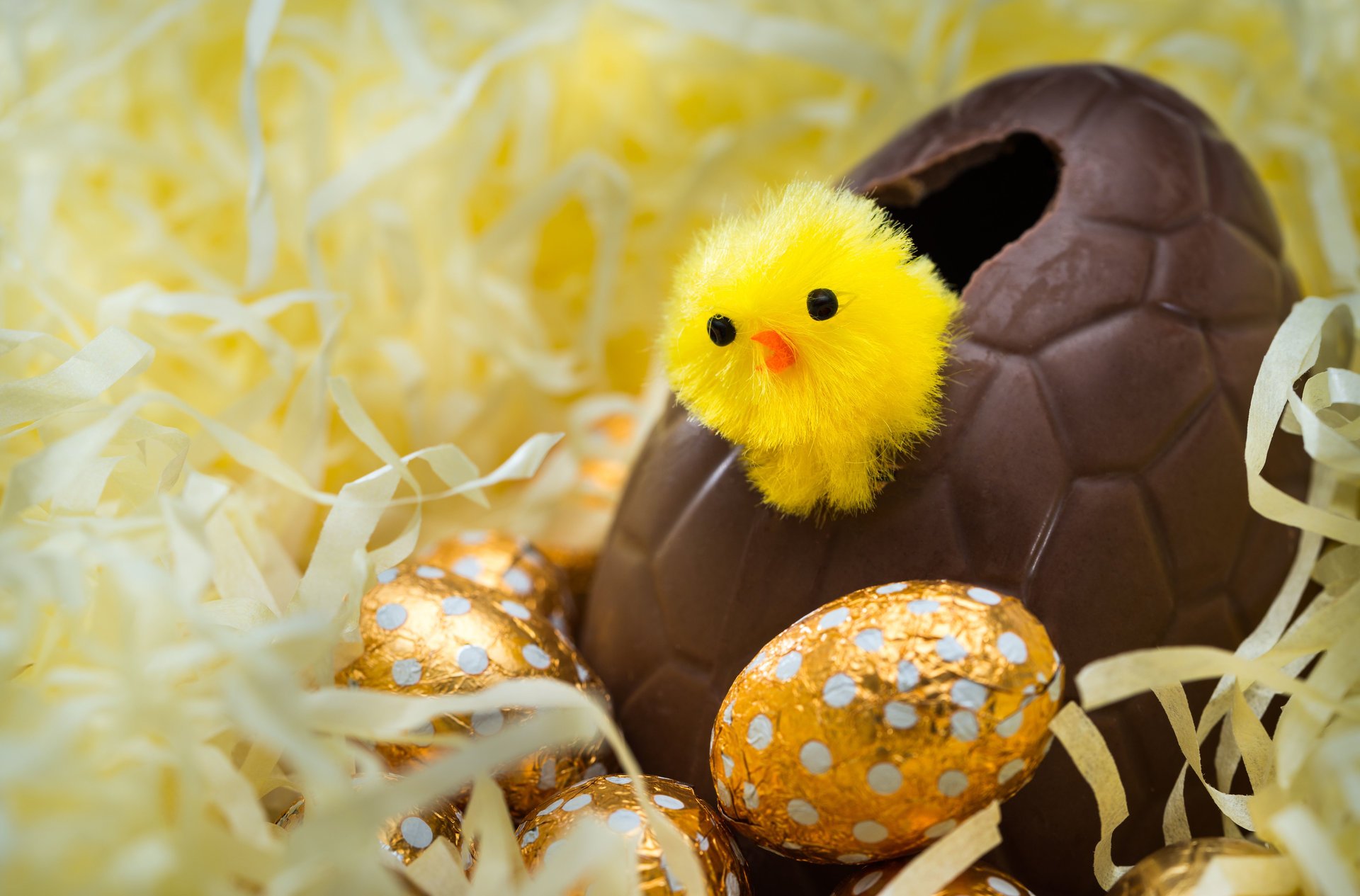 easter eggs great chocolate around gold eggs chuck hatched of the eggs watches in the world easter bokeh wallpaper.