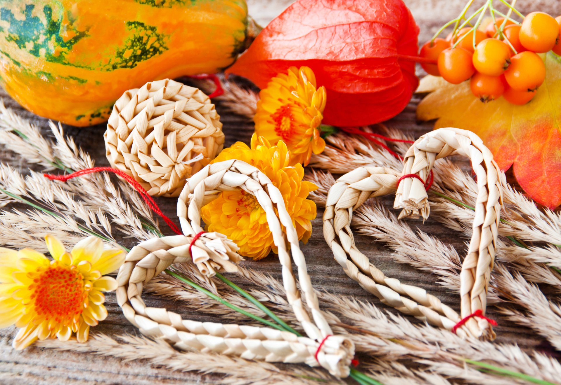 autumn decoration heart straw vegetables pumpkin flower chrysanthemum leaves spikes ears