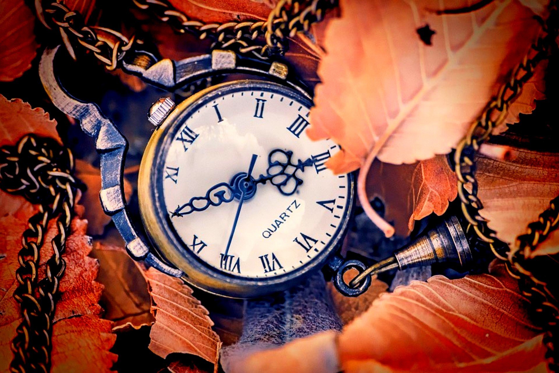 clock dial hands leaves autumn watches face of the arrow