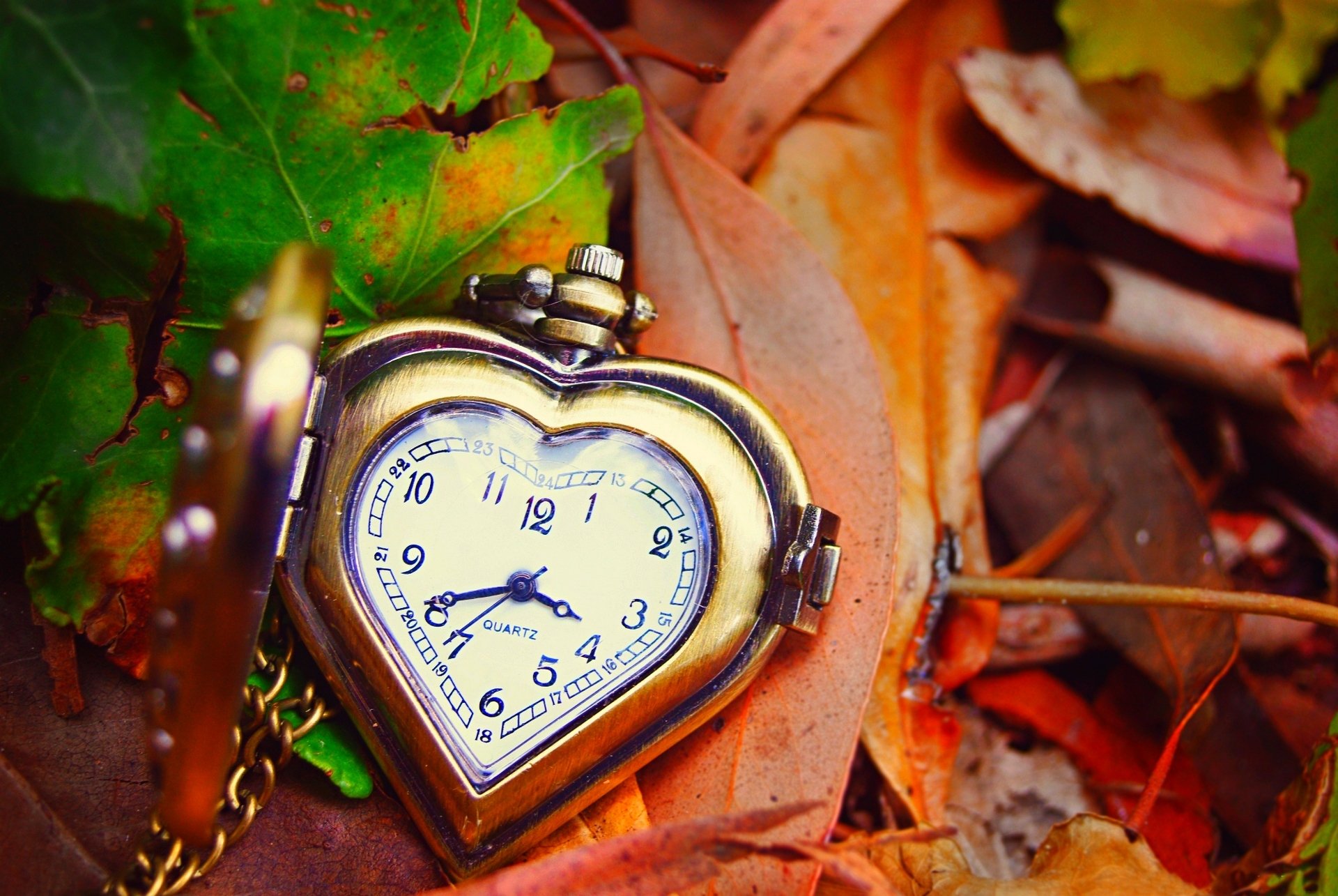 clock dial hands leaves autumn heart love watches face of the arrow