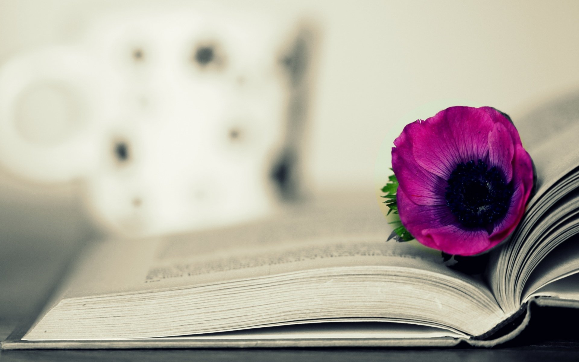 miscellaneous book flower pink background wallpaper widescreen full screen hd wallpapers