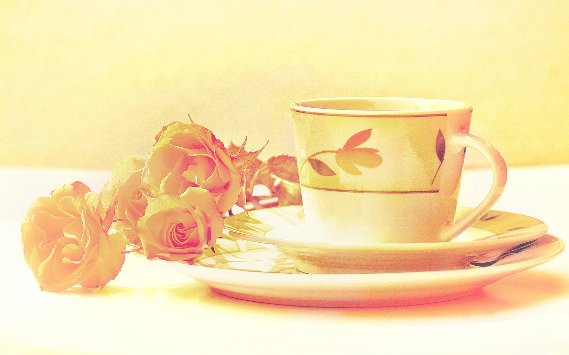 still life service cup saucer flower roses flowers processing image
