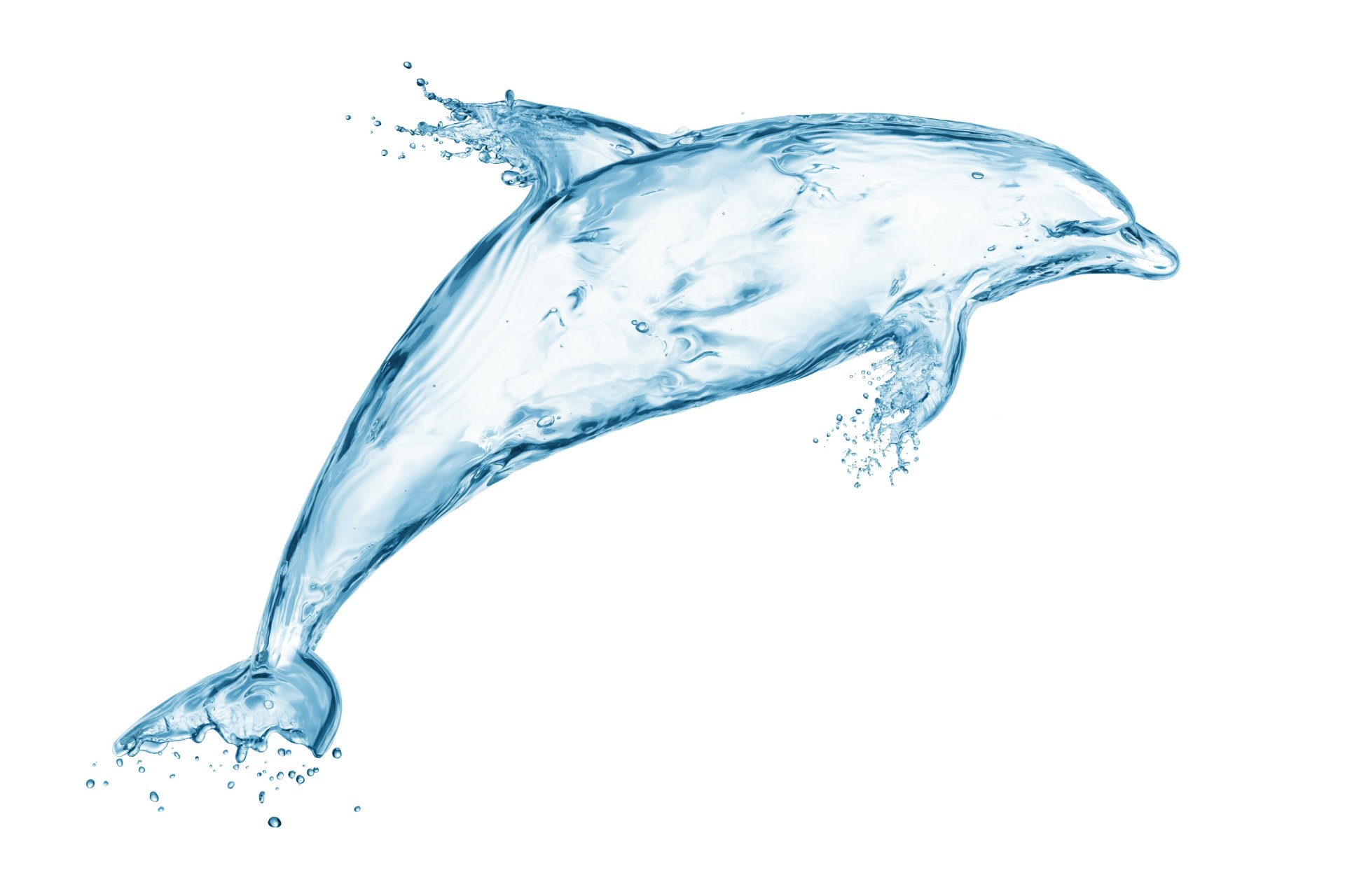 water drops splash drawing creativity art dolphin spray picture creative