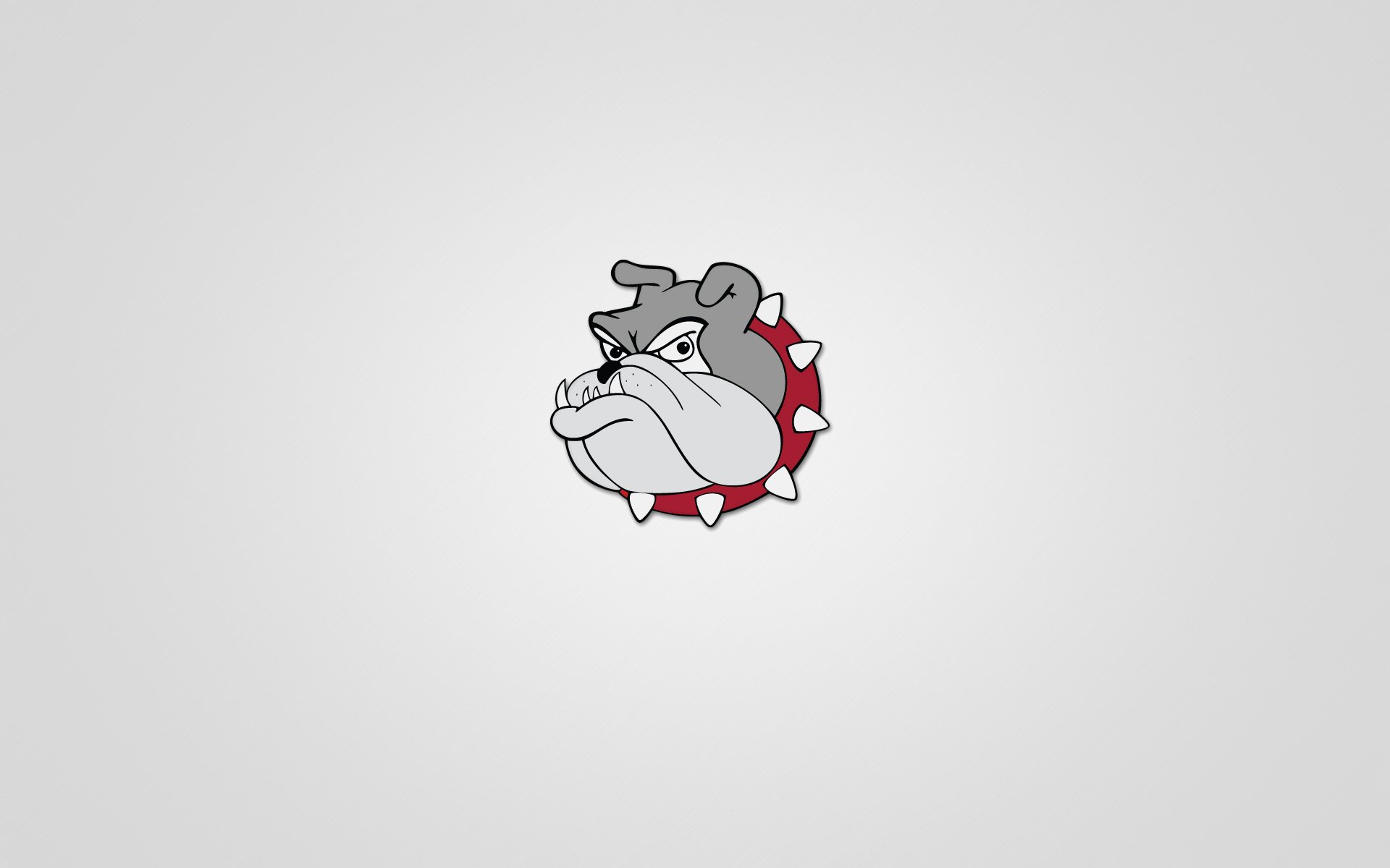 dog light background red collar studs bulldog serious minimalism head face animals