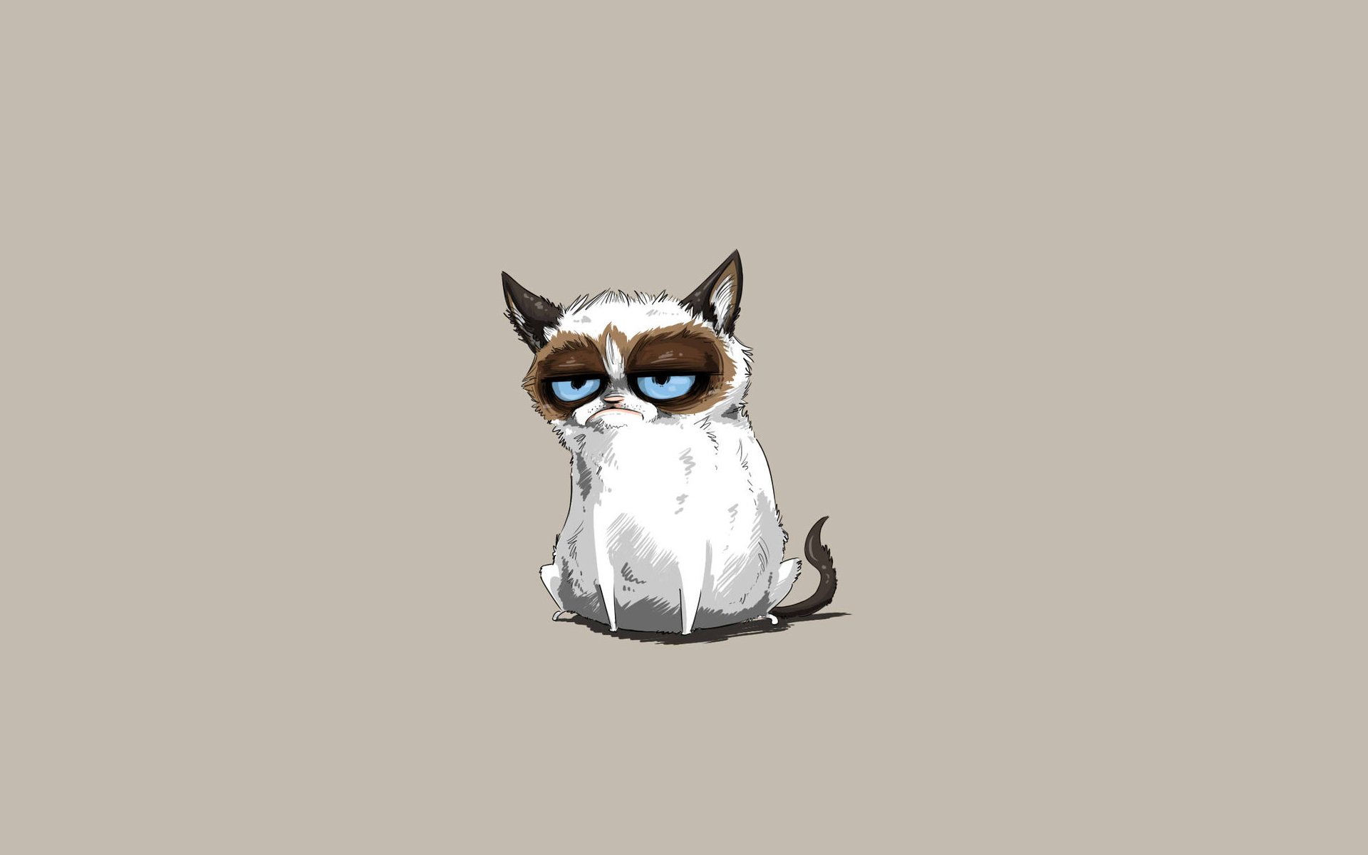 angry kitty cat grumpy cat sauce tardar tardar sauce minimalism