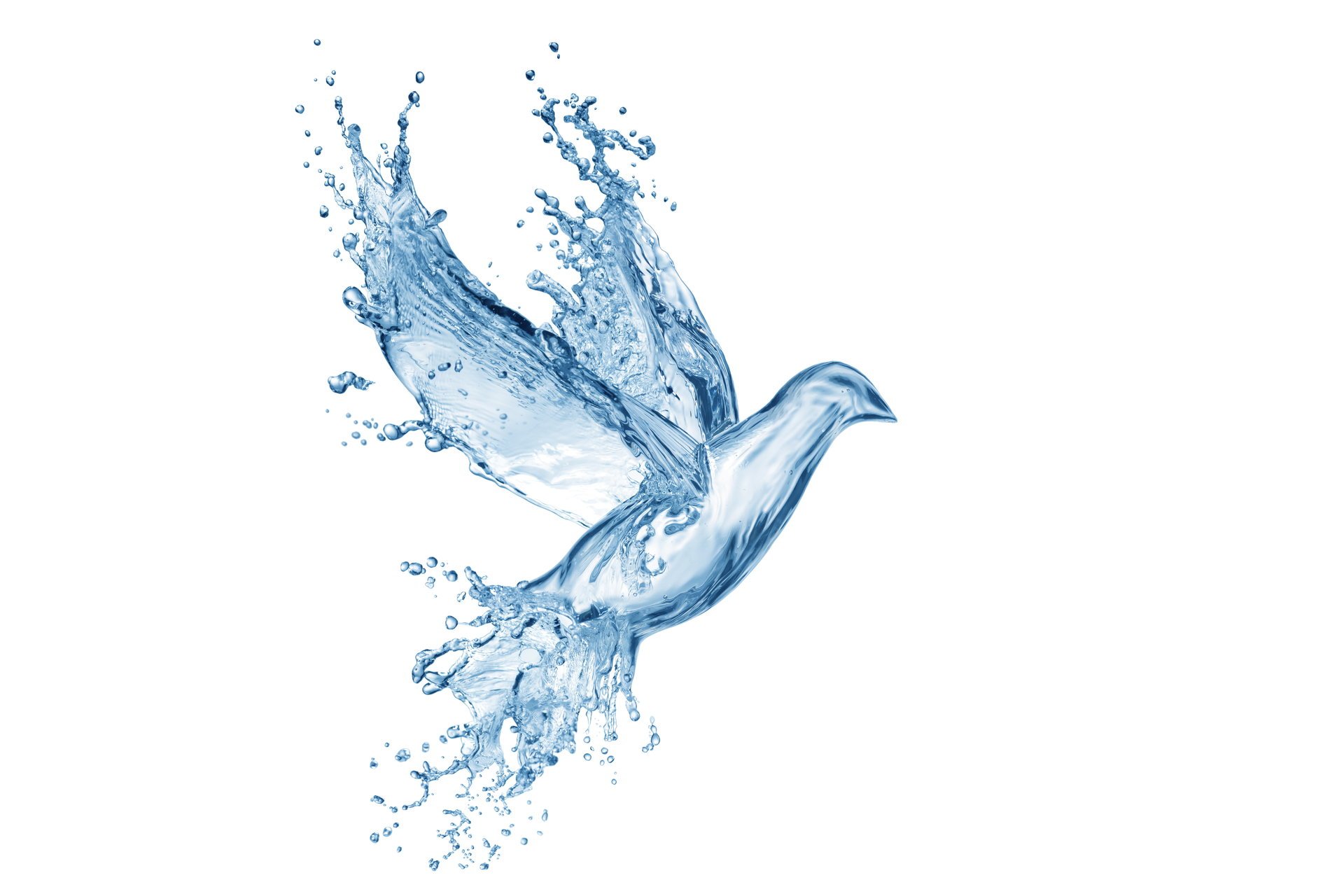 water drops splash drawing creativity art pigeon dove spray picture creative blue
