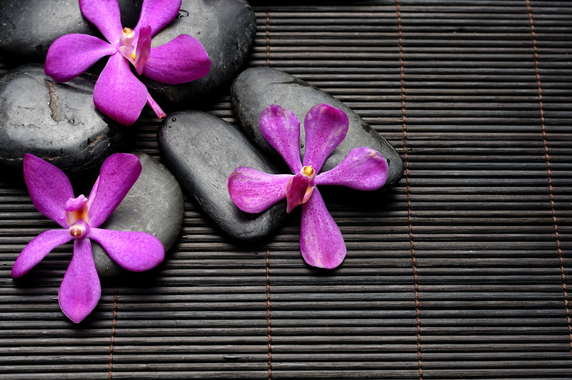 spa zen stones flowers bamboo black purple flower