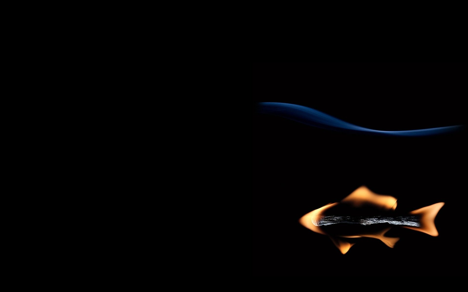 creative fish match fire black background the author stanislav aristov
