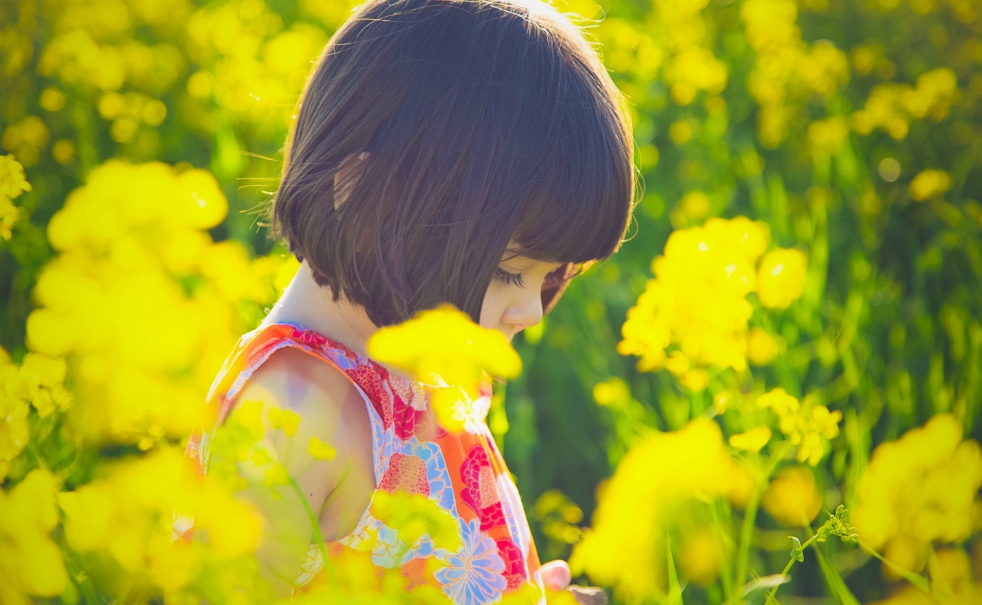 situation mood children girl brunette dress flower flowers yellow sun nature plant background wallpaper wallpapers