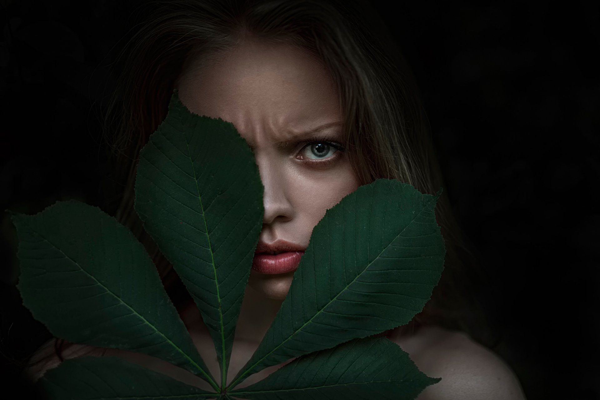 leroy valeri kolesnikov sheet emotion discontent offense george chernyad'ev