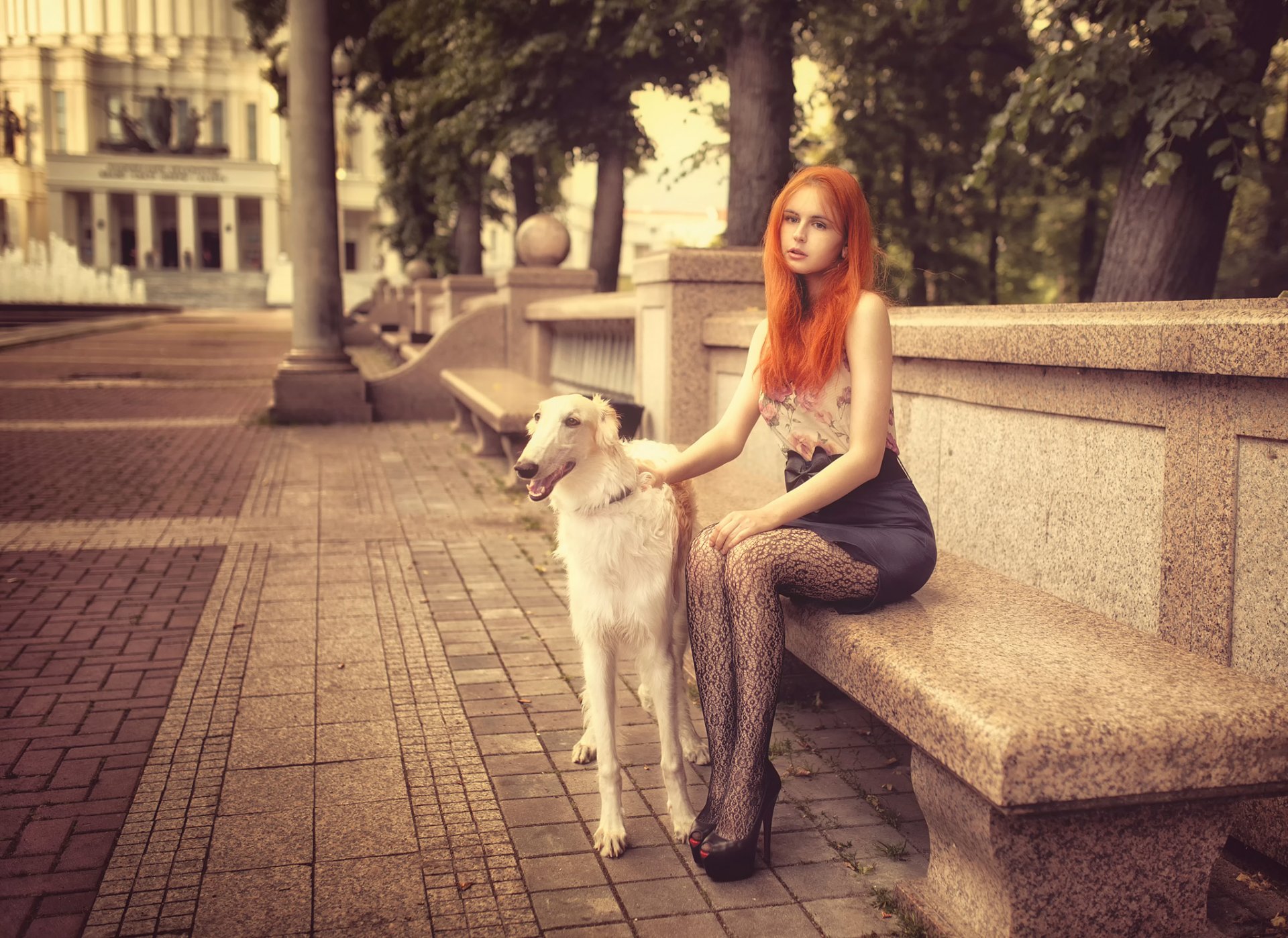 red hair girl anne bench dog town dmitrij butvilovskij