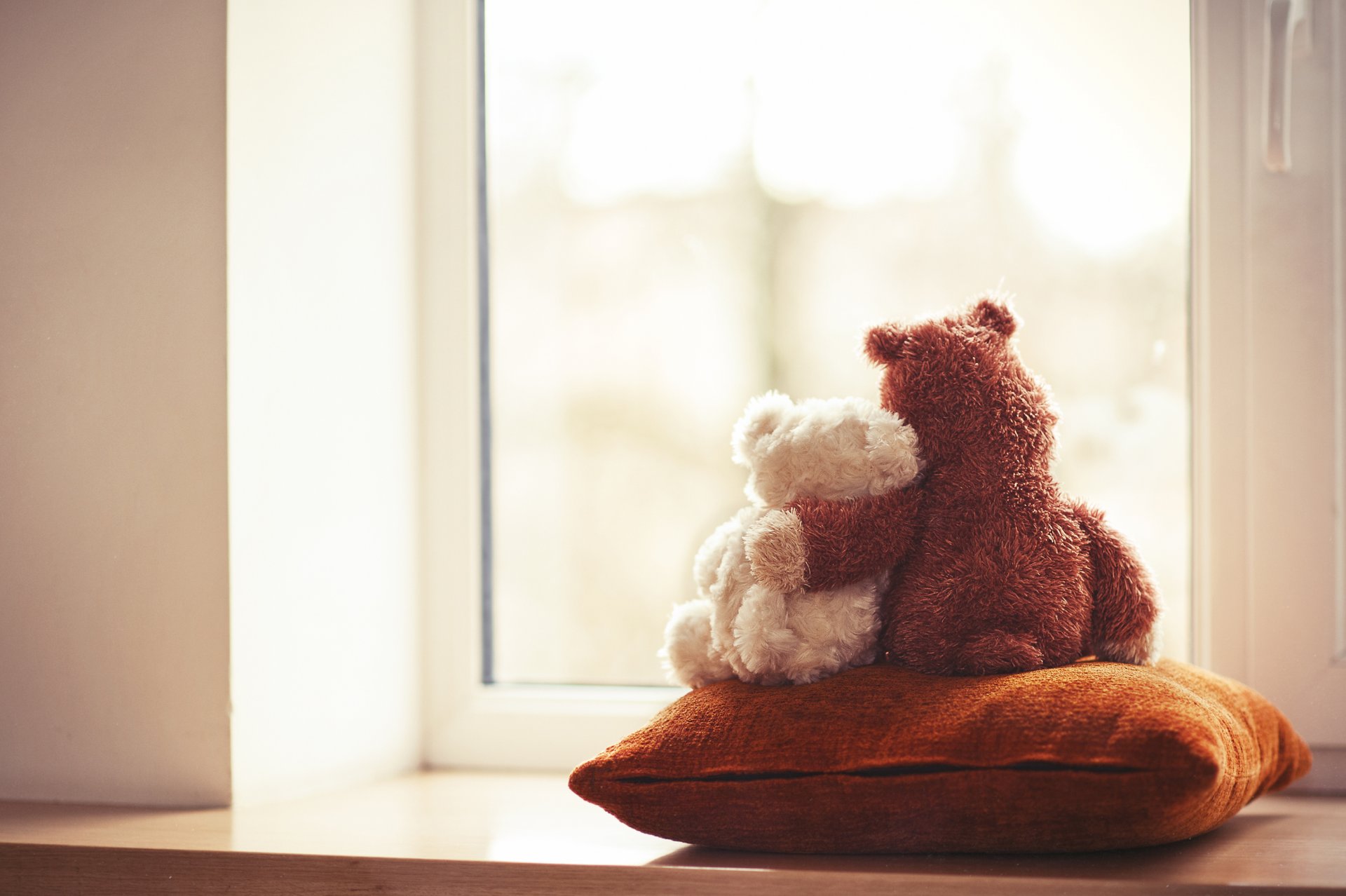 teddy bear toy cute love couple friends window teddy bear toys the pair pillow
