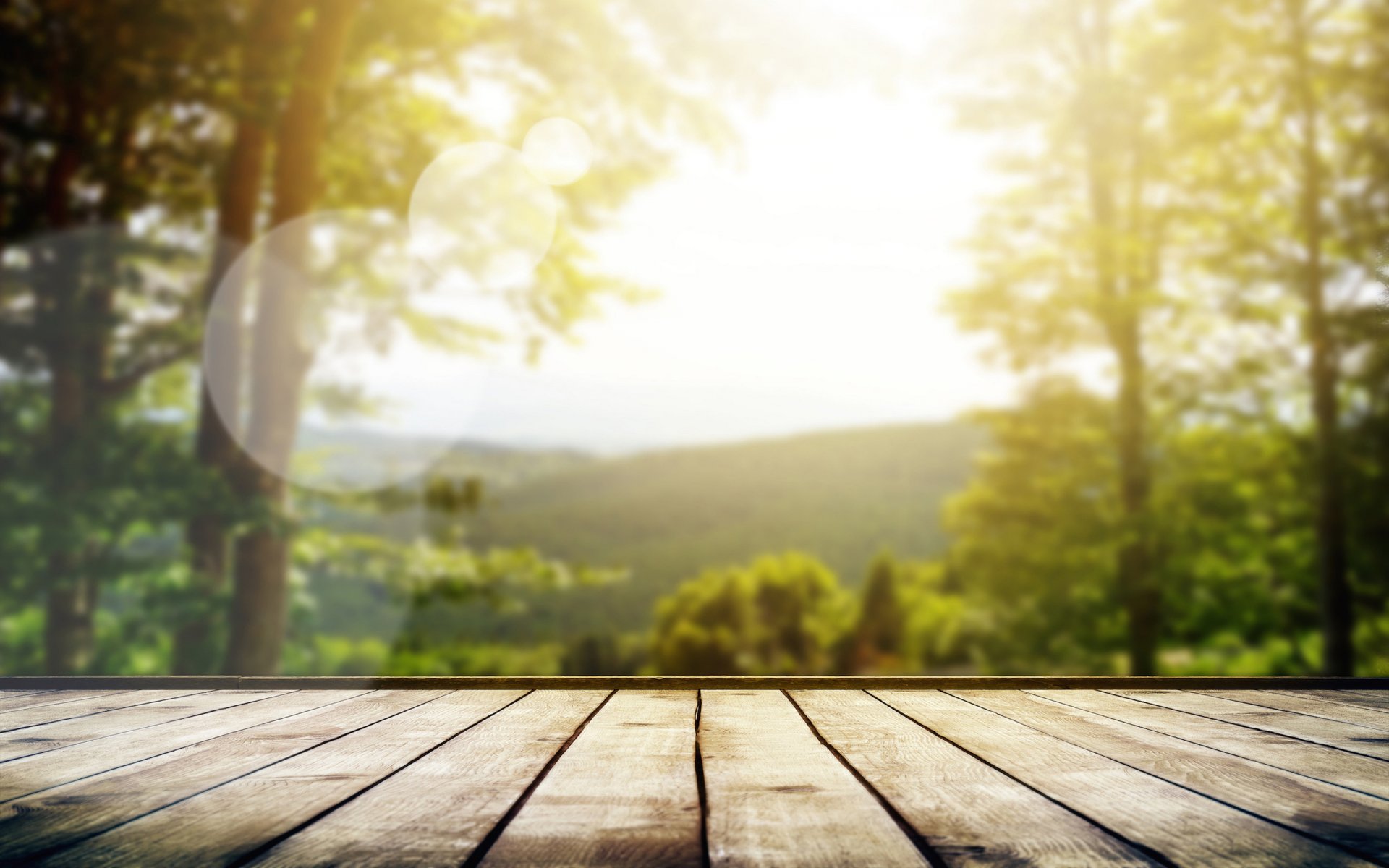 mood close up nature morning summer light sun rays tree bokeh sex board forest sky blur focus lens background wallpaper wallpapers 2560x1600