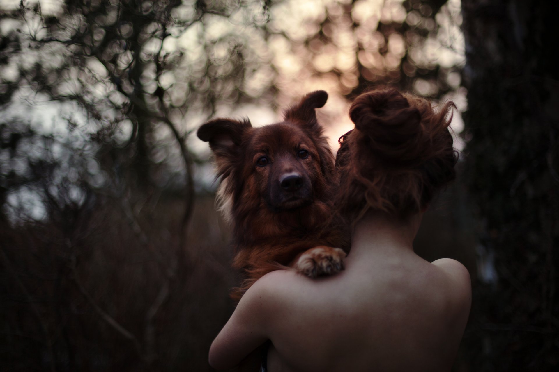 emotion love dog girl spine forest bokeh sundown back hair