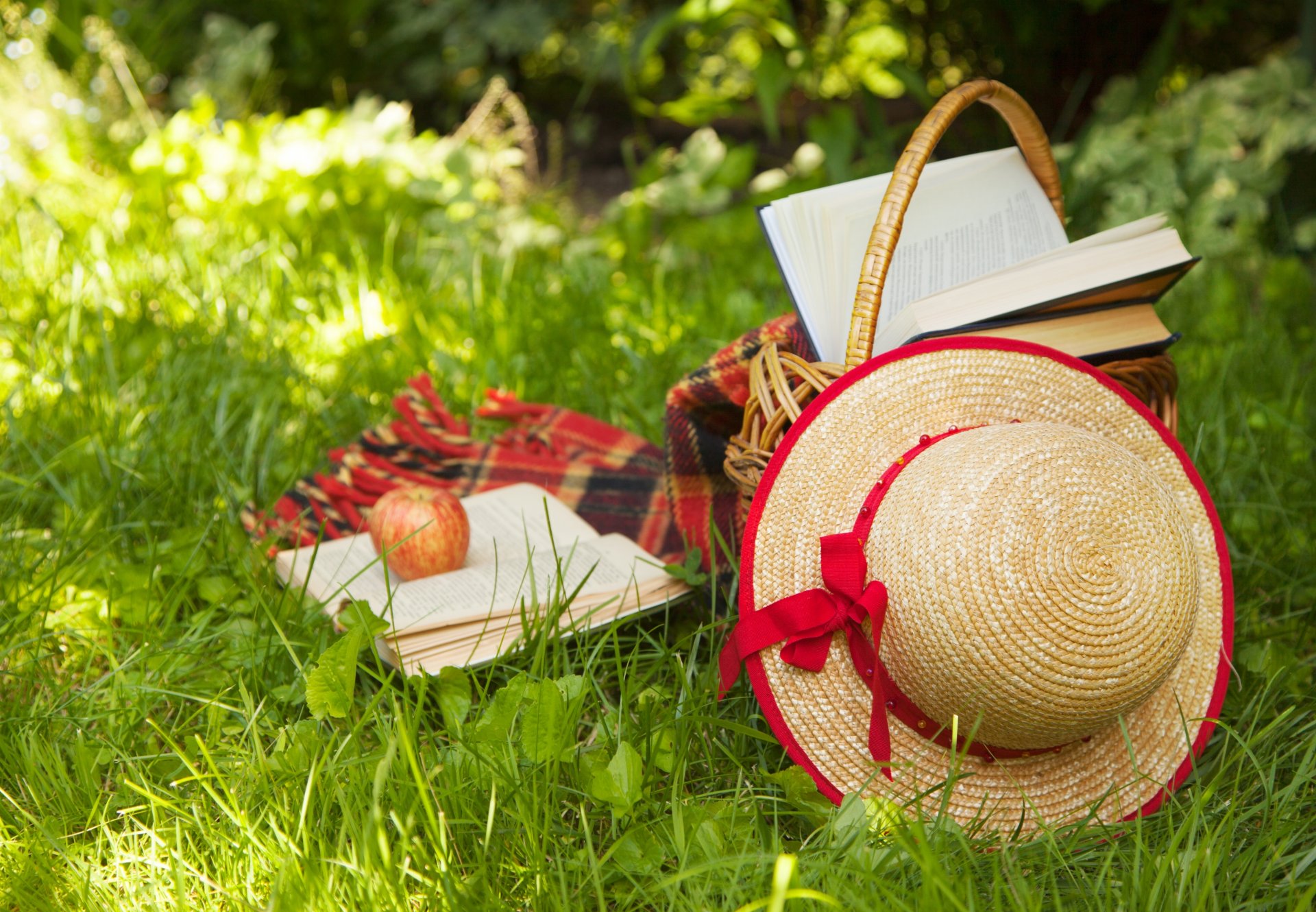shopping books apple hat straw plaid grass nature summer